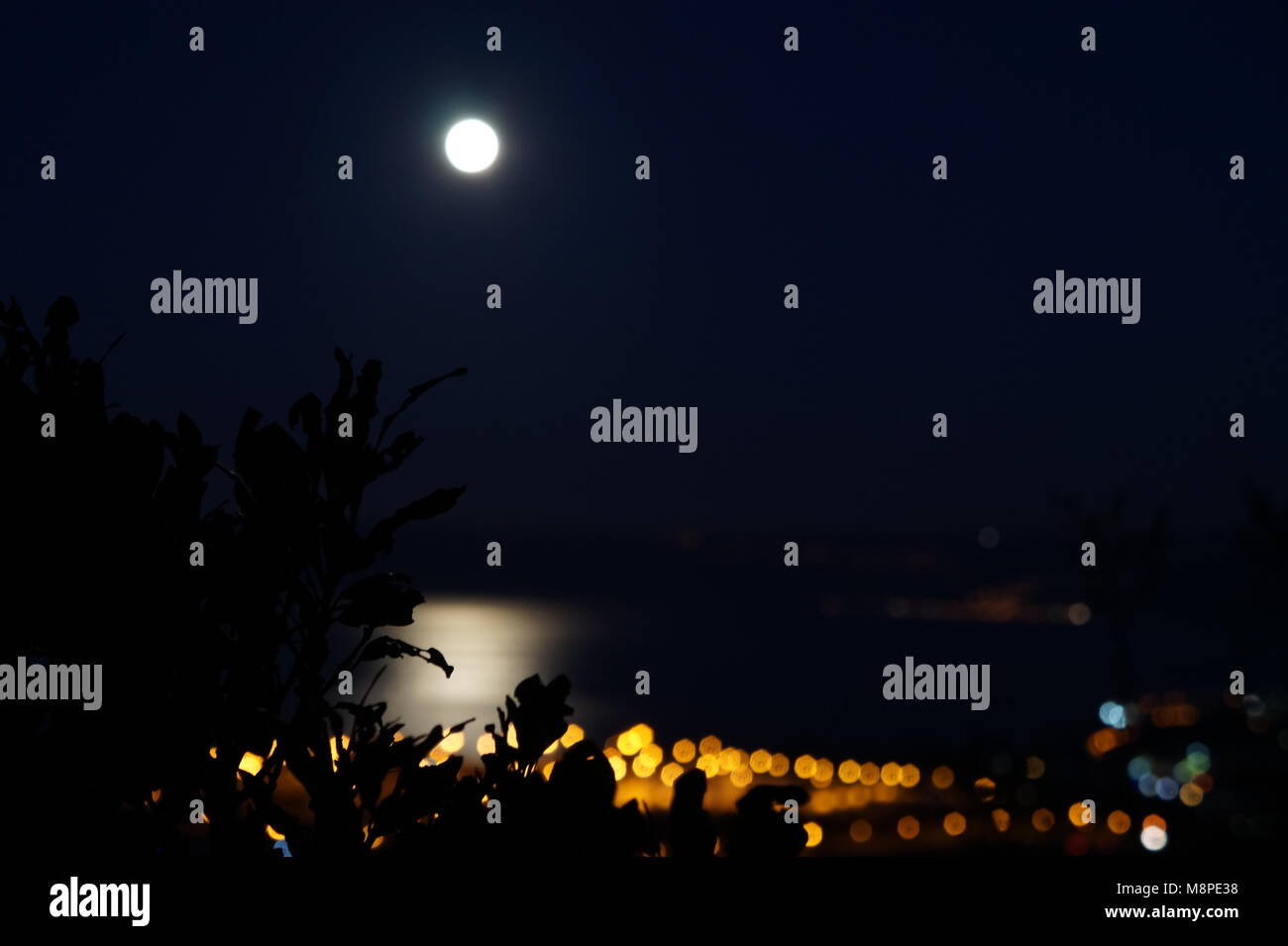 Moonlight Nacht Landschaft am Meer Stockfoto