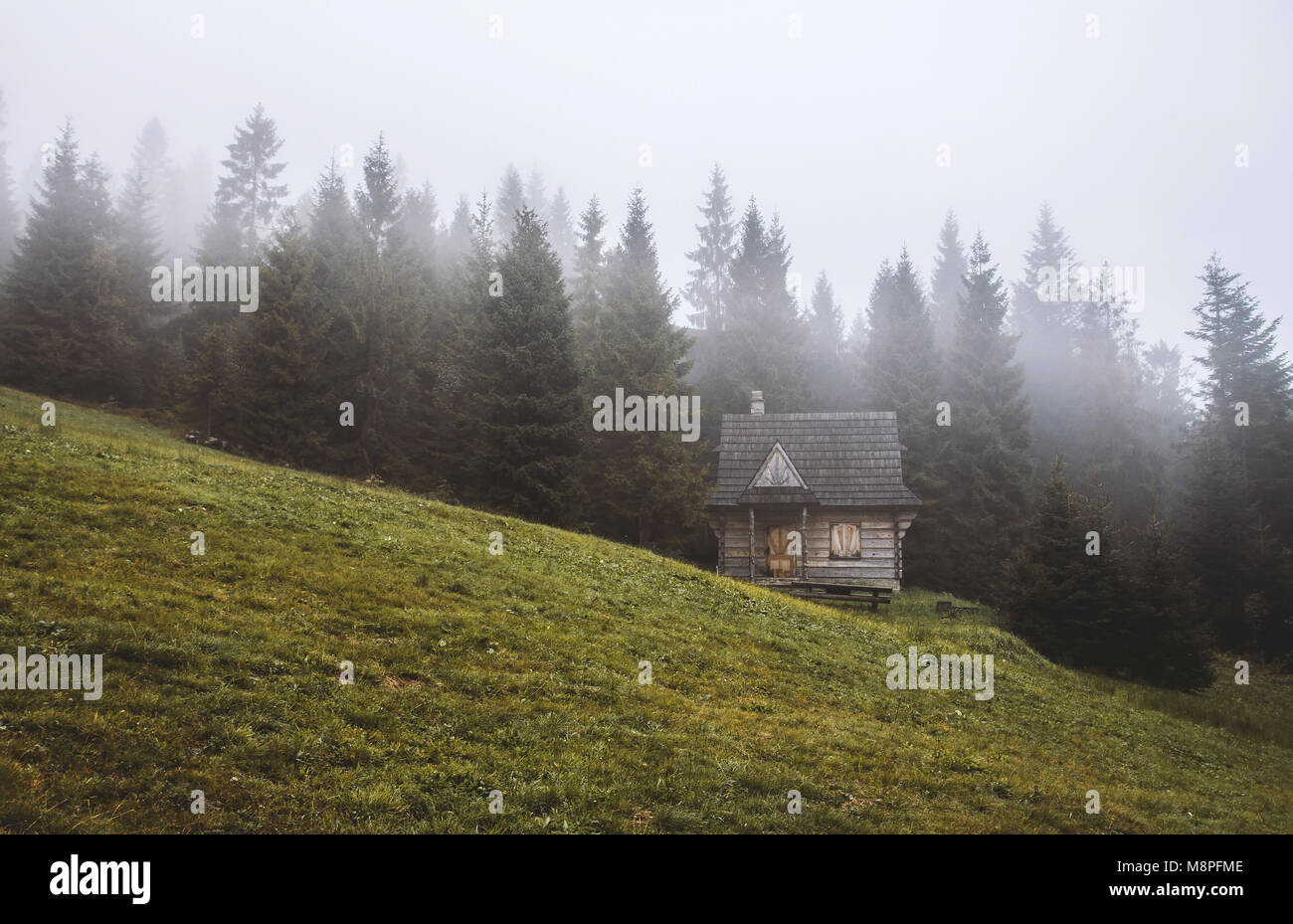 Einsame malerische traditionelle Berghütte auf einer steilen Wiese anmelden im Nadelwald an einem nebligen Morgen. Stockfoto