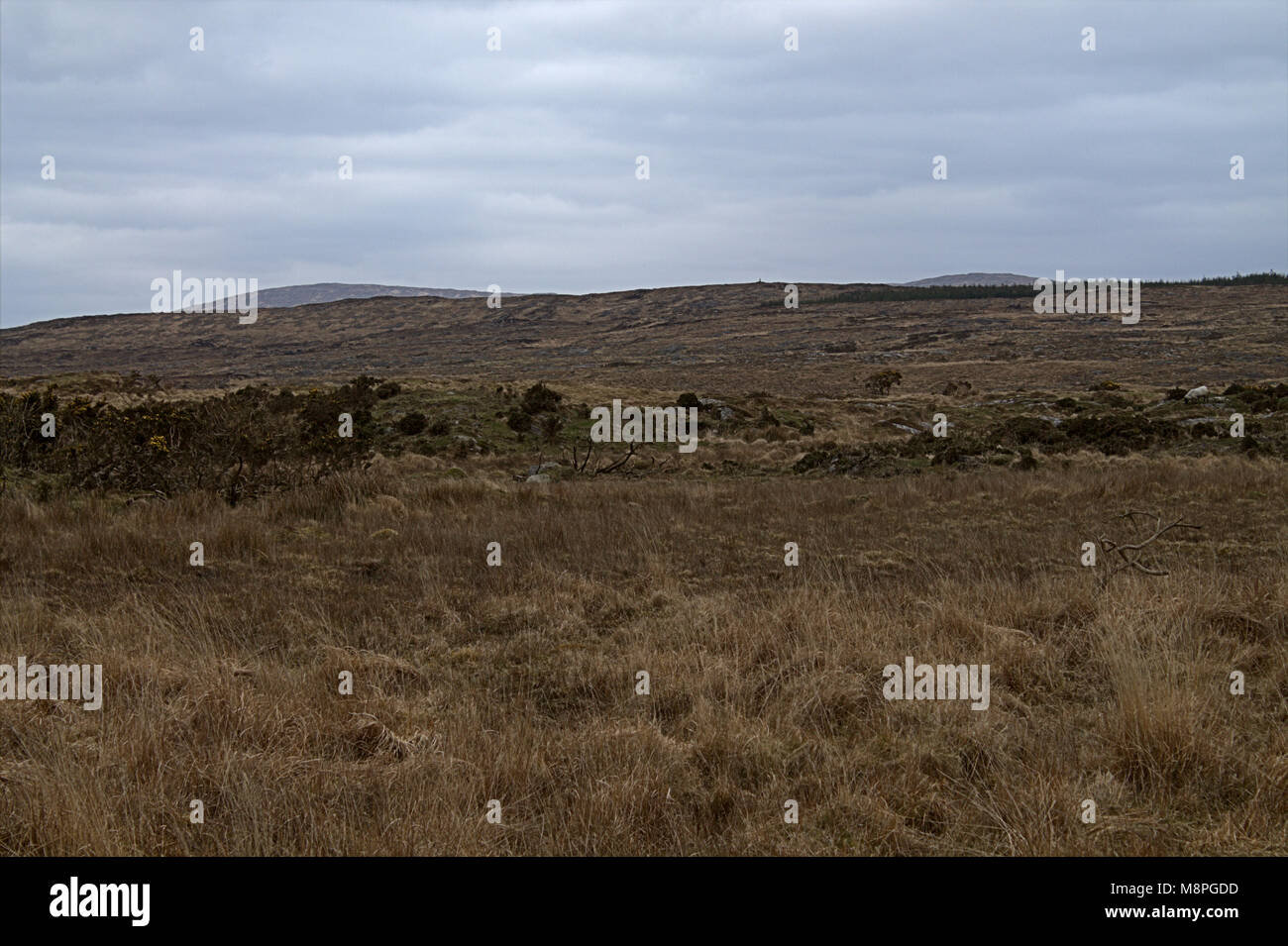 Blick über Moor Moor- und offenen Landschaft auf der Halbinsel mizen, West Cork, Irland Stockfoto