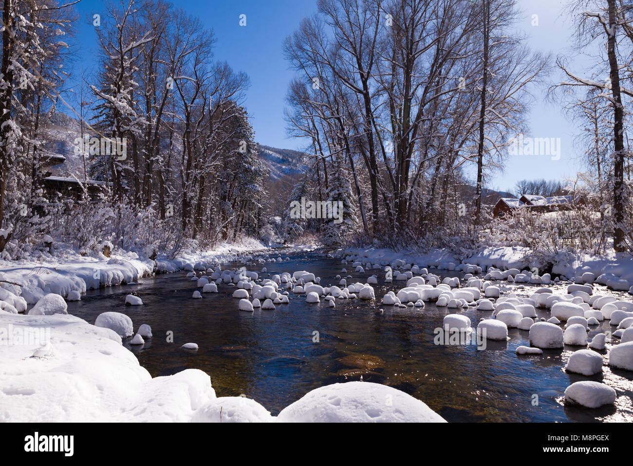 Aspen winter wonderland Stockfoto