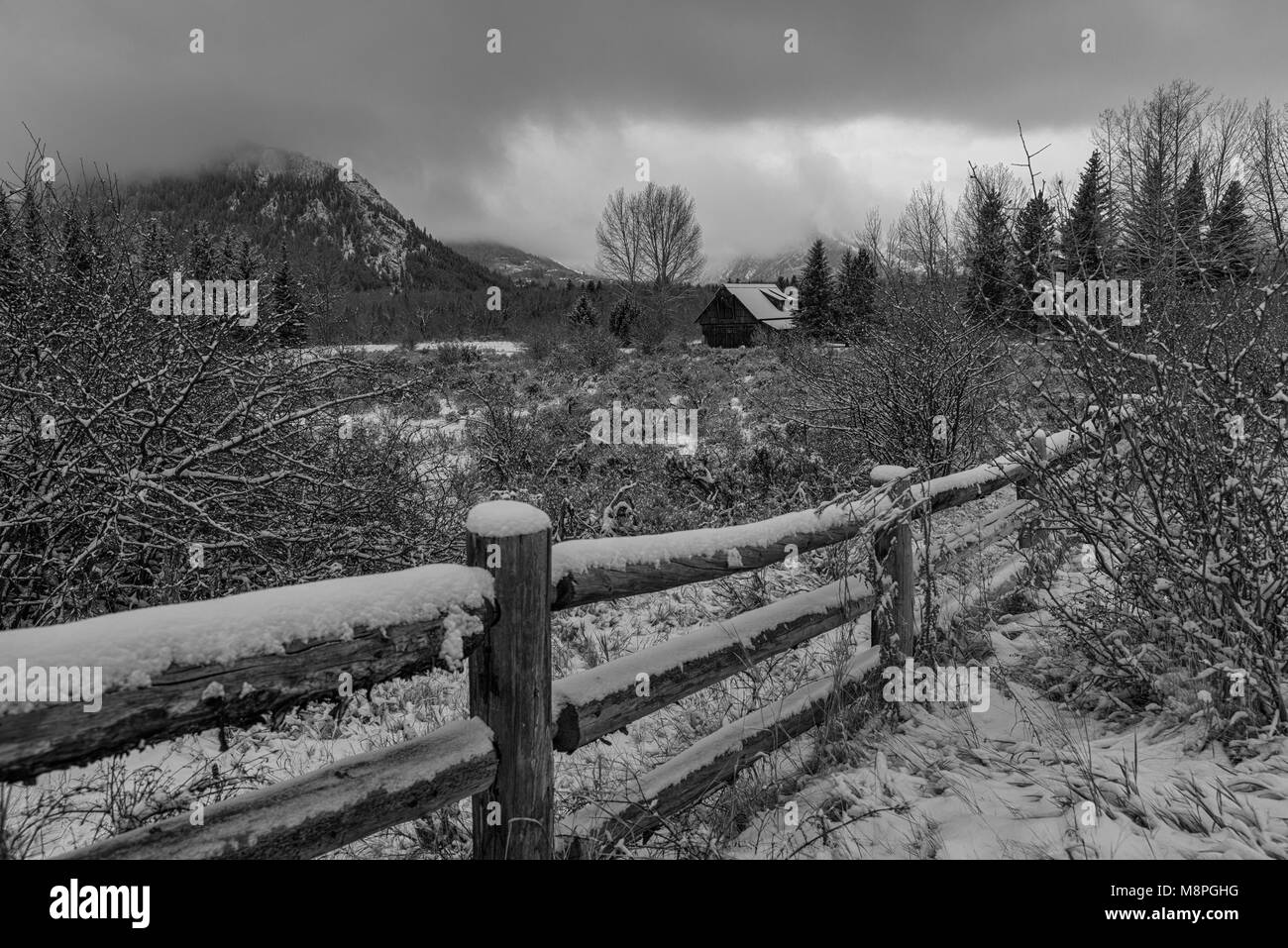 Aspen winter wonderland Stockfoto