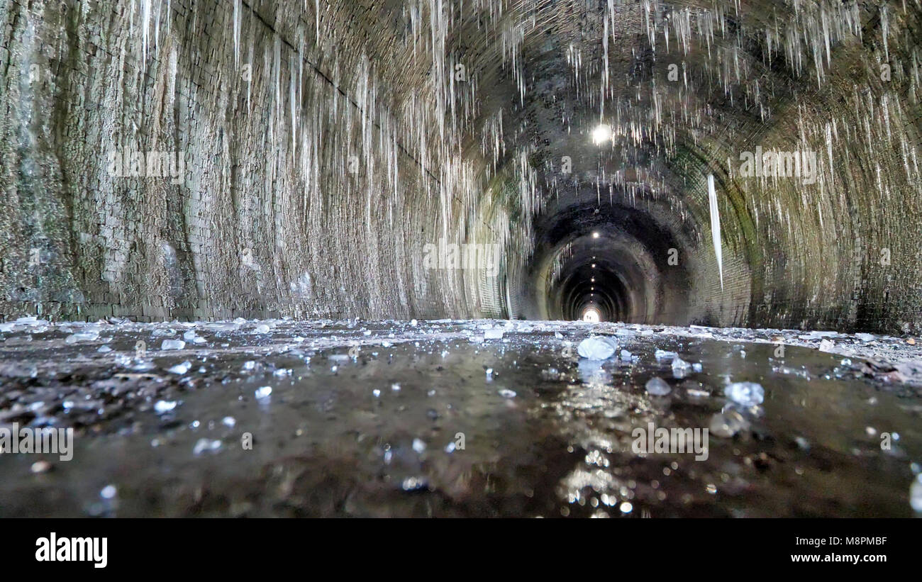 UK Wetter: auftauen Eiszapfen bis zu 6 m lang eine Gefahr für die Spaziergänger darstellen, wenn Sie innerhalb des gefrorenen Ashbourne Tunnel auf der Tissington Trail Eisenbahn Spaziergang im Nationalpark Peak District, Derbyshire, England, UK fallen Stockfoto