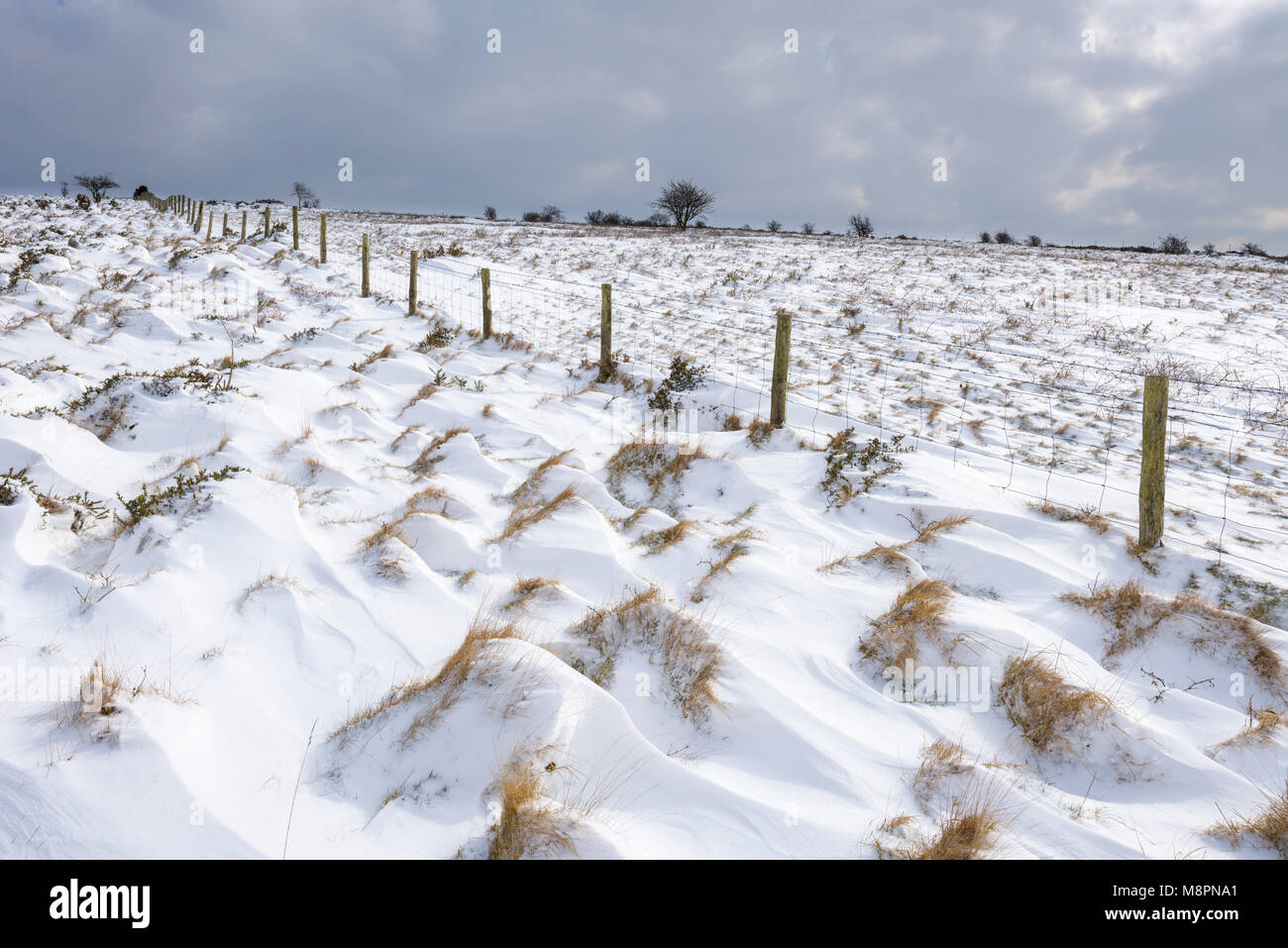 Schnee auf der Mendip Hills National Landscape in der Nähe von Cheddar, Somerset, England. Stockfoto