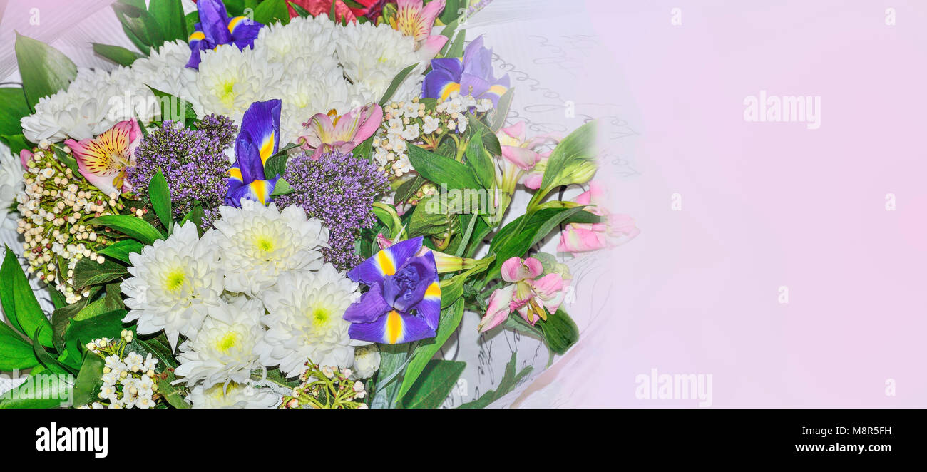 Festliche Bunte, mit Blumenmustern Grenze mit Blumenstrauß aus verschiedenen Blumen: rosa Inkalilie, weissen Chrysanthemen, blau Iris schließen oben mit Kopie Raum für Te Stockfoto