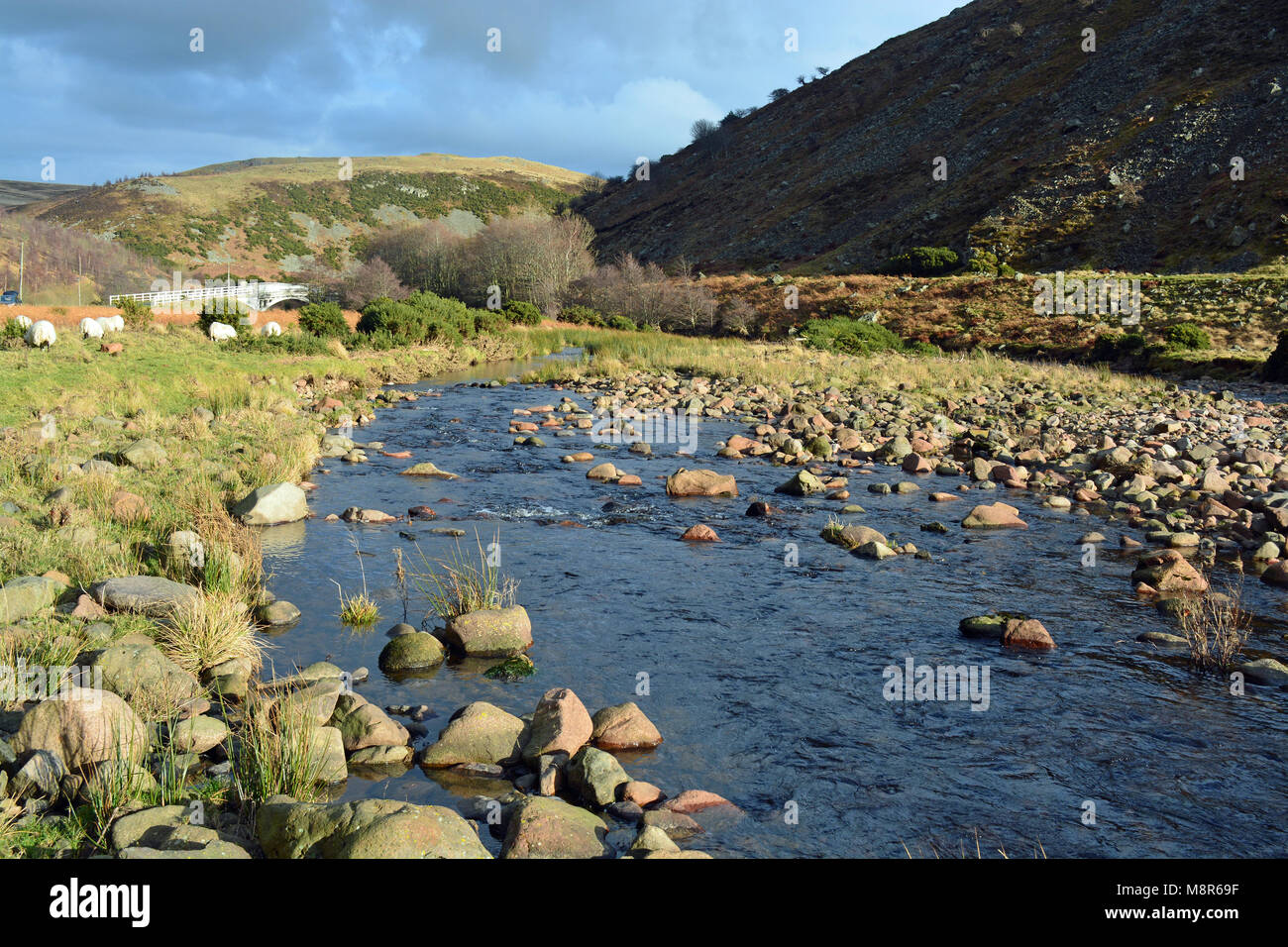 Breamish, Ingram Tal Flusses, Northumberland Stockfoto