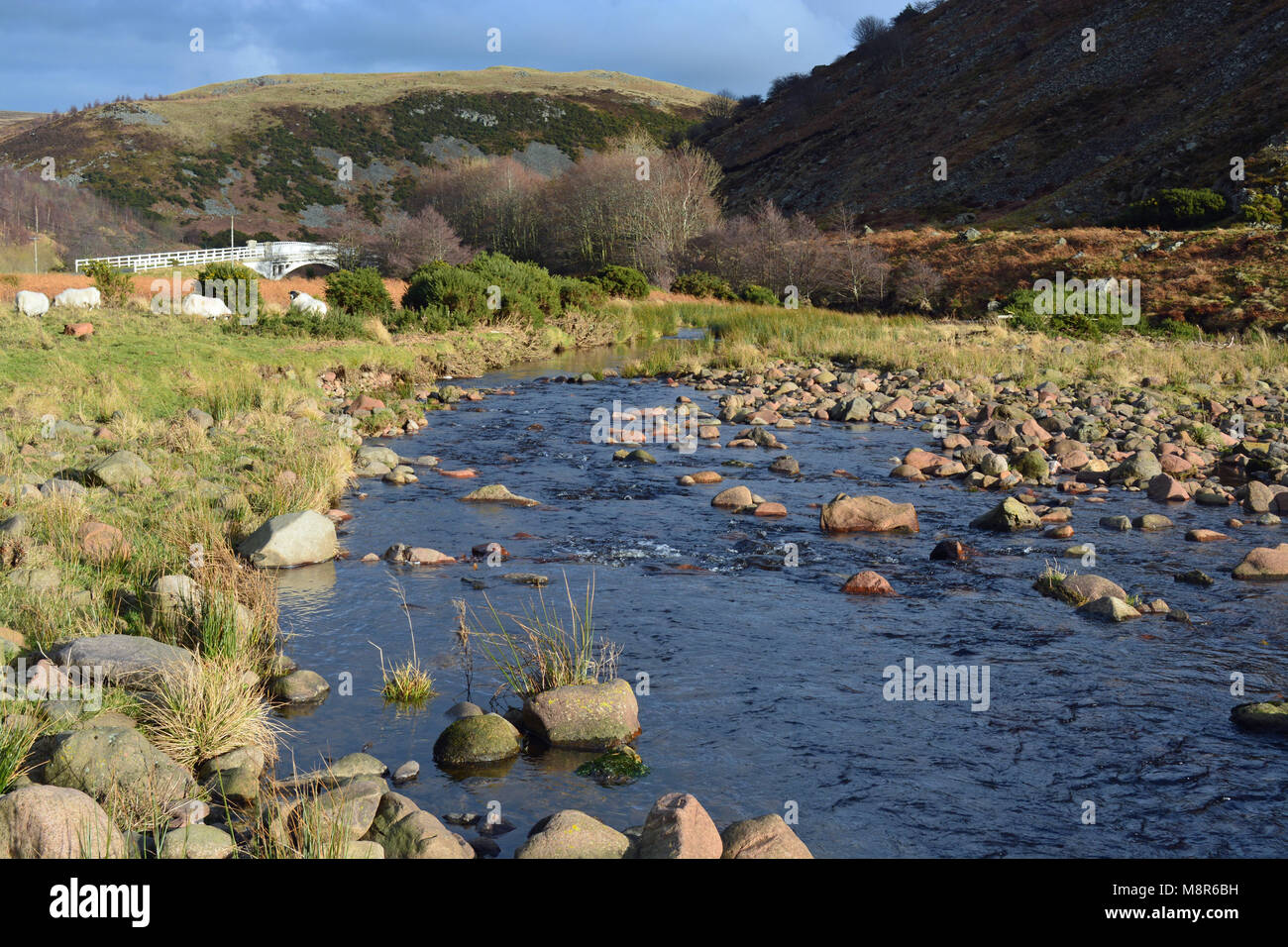 Breamish, Ingram Tal Flusses, Northumberland Stockfoto