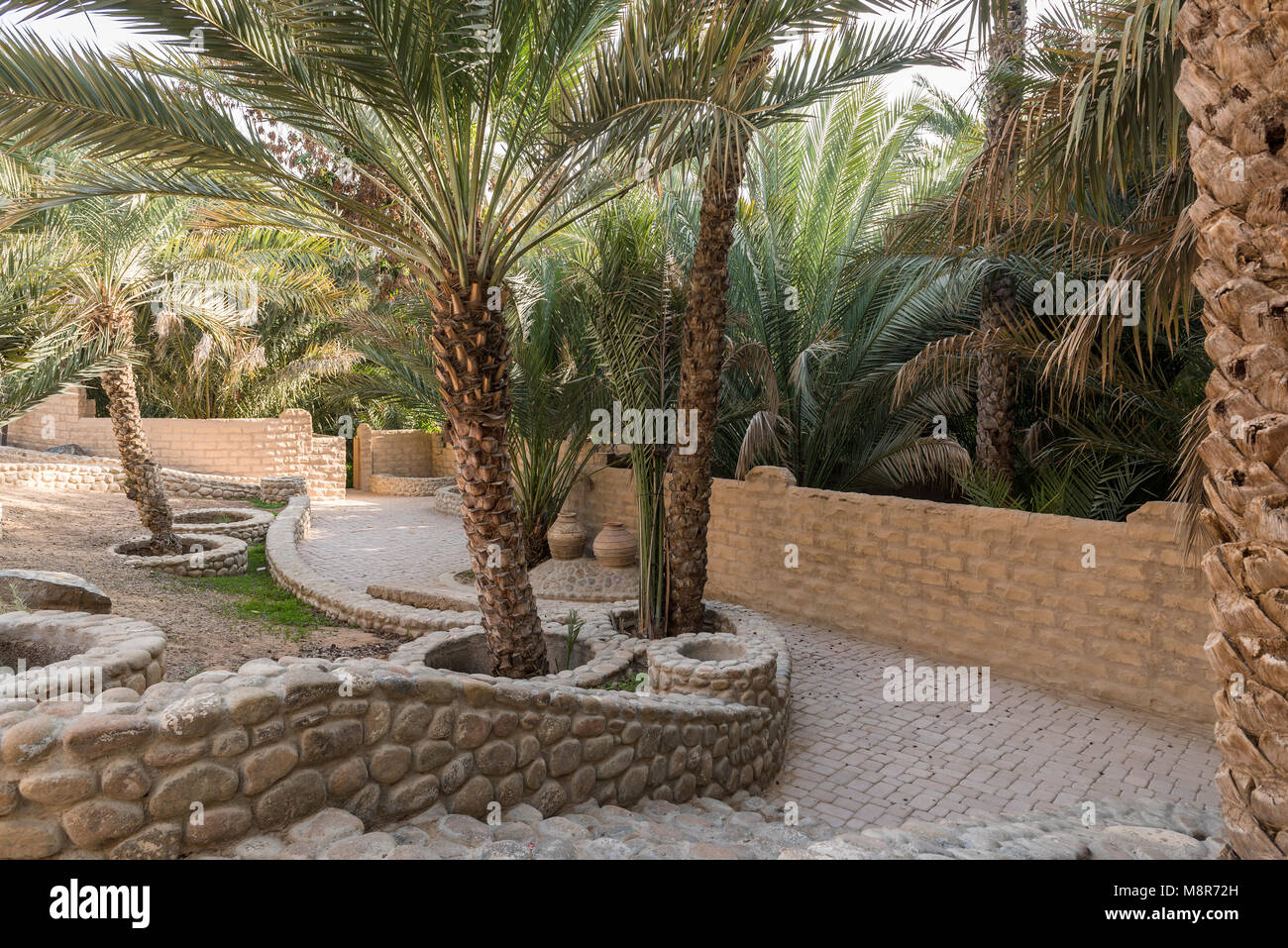 Pfad in Al Ain Oase im Herzen des zweiten Stadt des Emirats Abu Dhabi Stockfoto