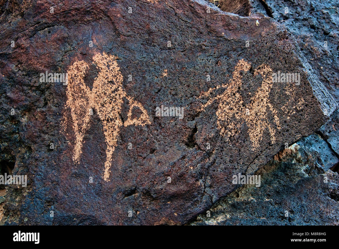 Petroglyphen an Rinconada Canyon, Petroglyph National Monument, Albuquerque, New Mexico, USA Stockfoto