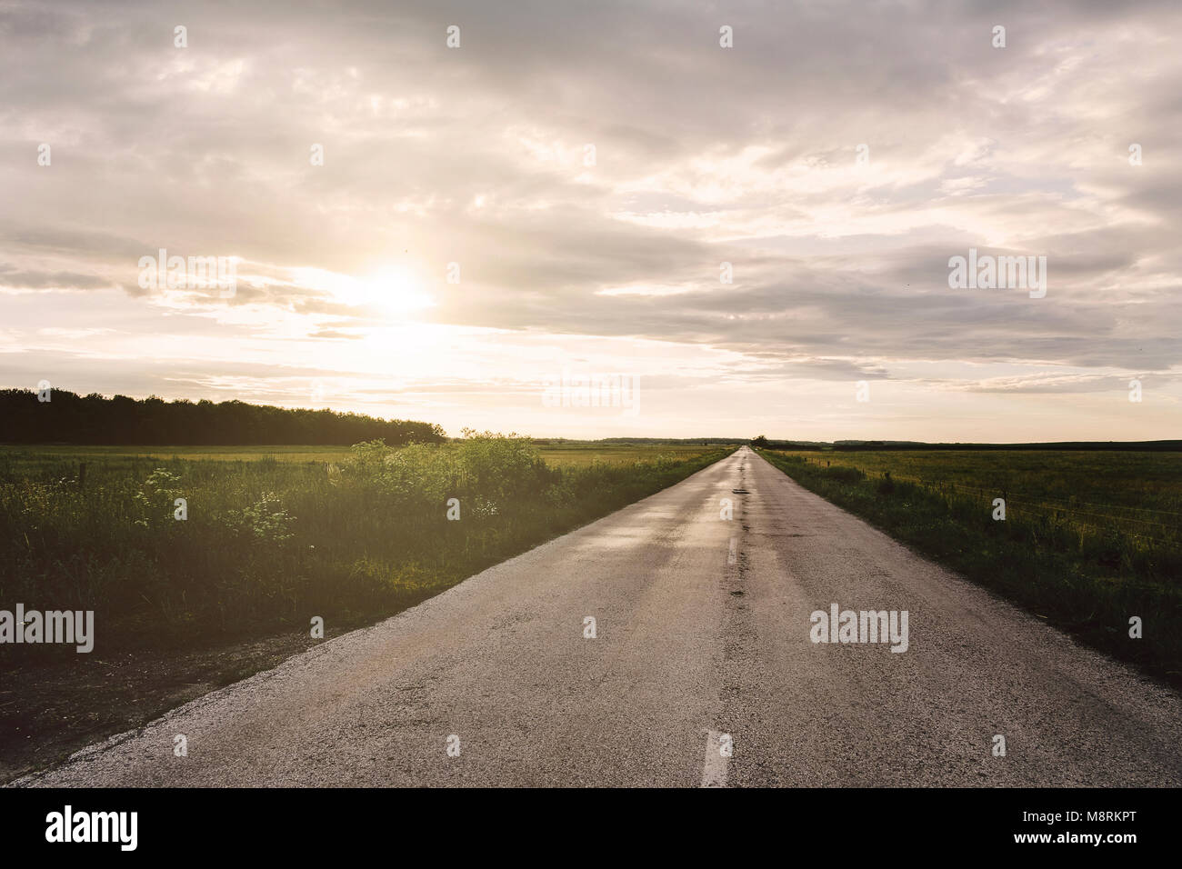 Landstraße inmitten Feld gegen bewölktem Himmel Stockfoto