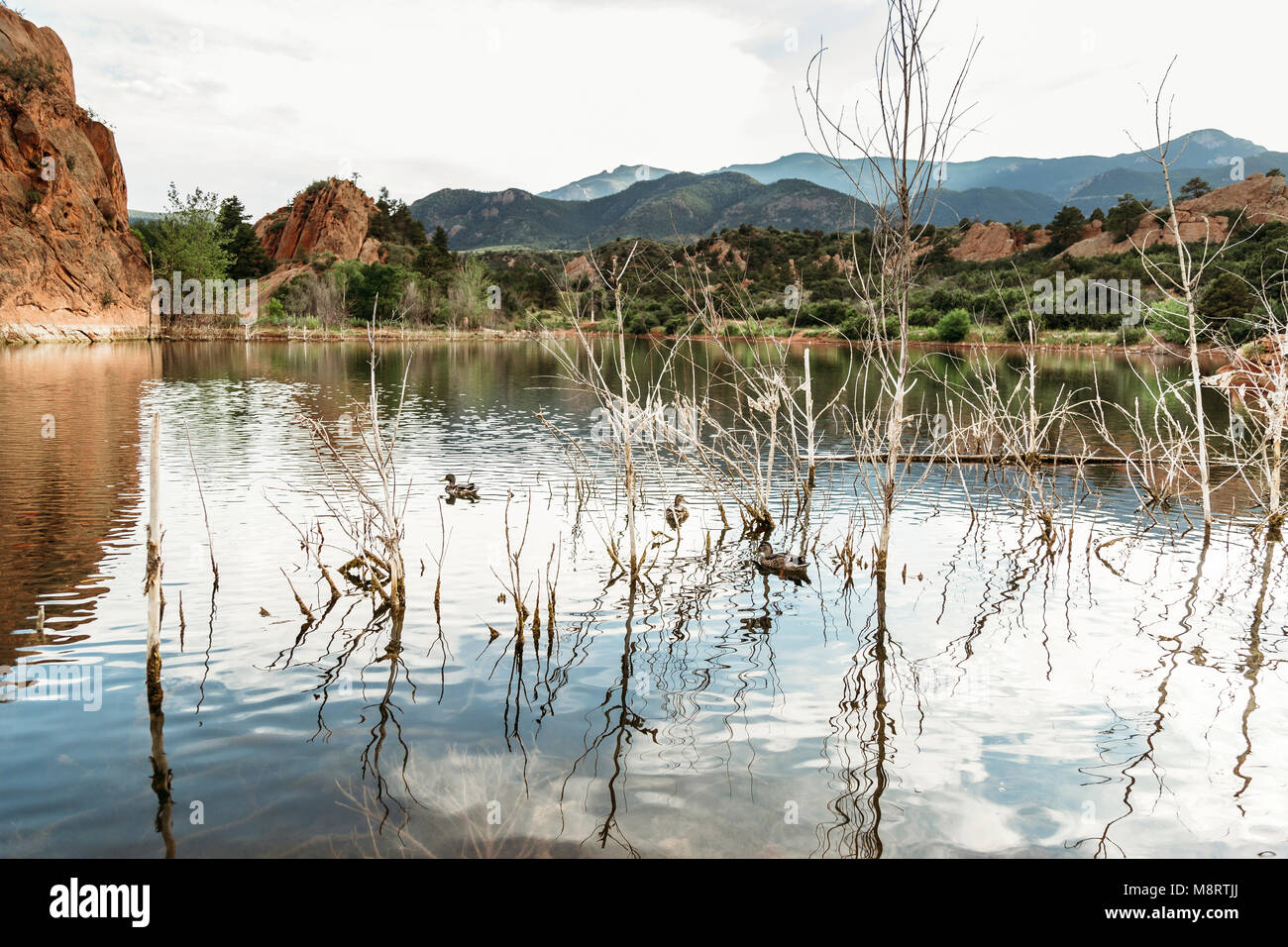 Malerischer Blick auf den See gegen Berge Stockfoto