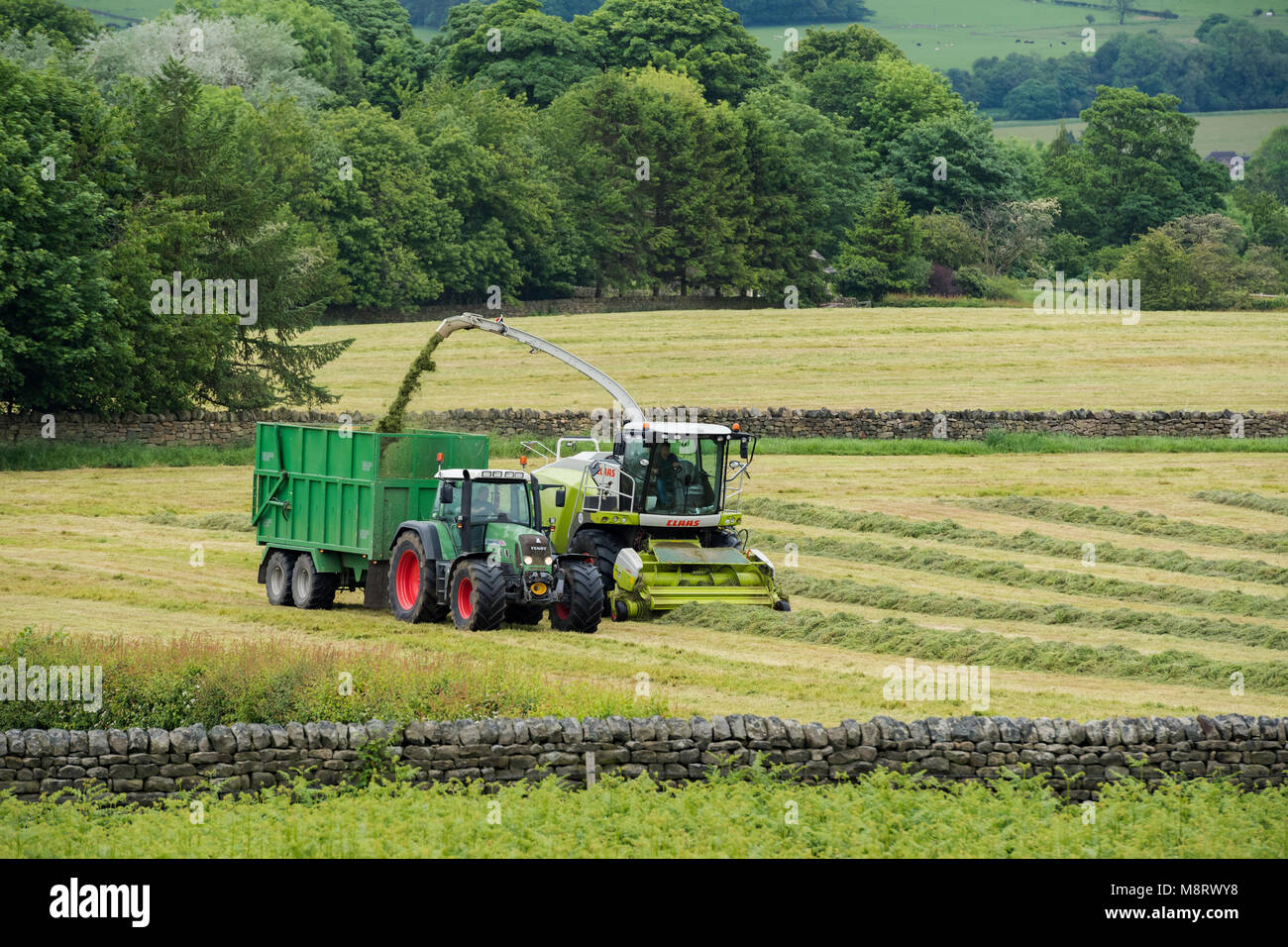 Arbeiten im landwirtschaftlichen Bereich, 1 grüne Fendt Traktor fährt neben CLAAS Feldhäcksler Sammeln von geschnittenem Gras für Silage - West Yorkshire, England, Großbritannien Stockfoto