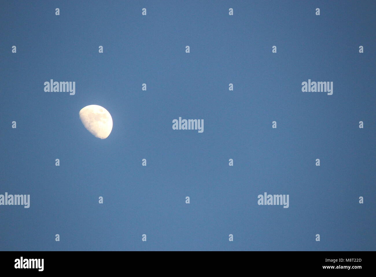Zunehmender Mond in der Dämmerung in den wolkenlosen Himmel Stockfoto