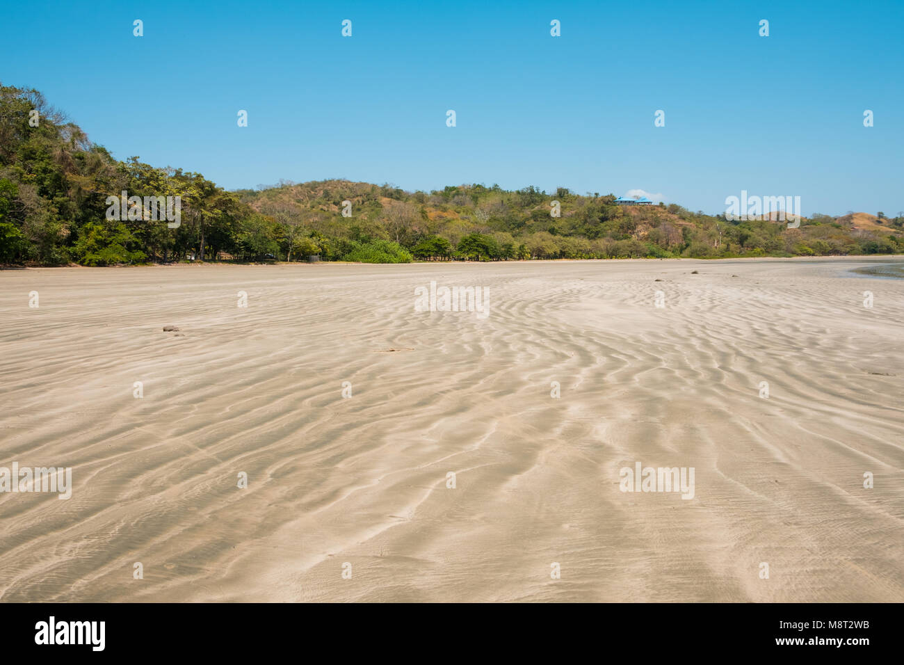 Strand Landschaft, Küste mit tropischen Pflanzen Hintergrund - Panama, Stockfoto