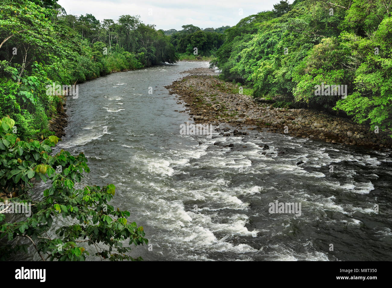 Die Sarapiquí Fluss fließt durch das Biologische Reservat Tirimbina in Costa Rica. Stockfoto