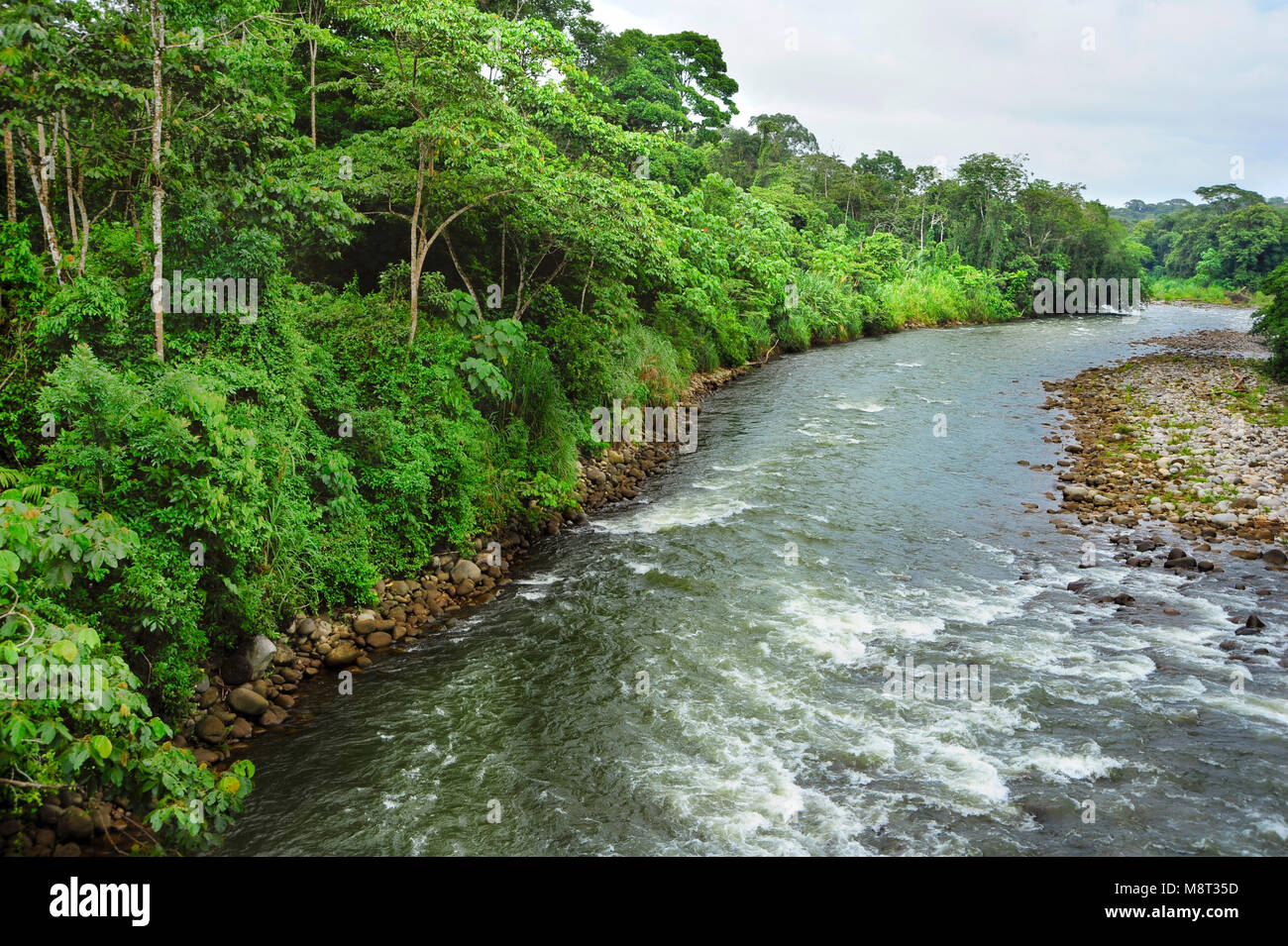 Die Sarapiquí Fluss fließt durch das Biologische Reservat Tirimbina in Costa Rica. Stockfoto