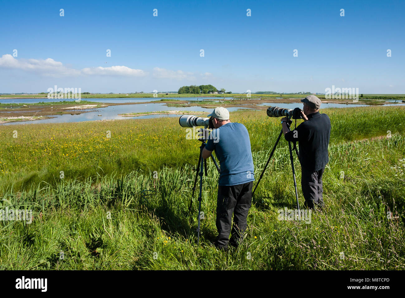 Vogelfotografen in actie bij waterplas met Vogels Vogel Fotografen in Aktion am See mit Vögeln Stockfoto