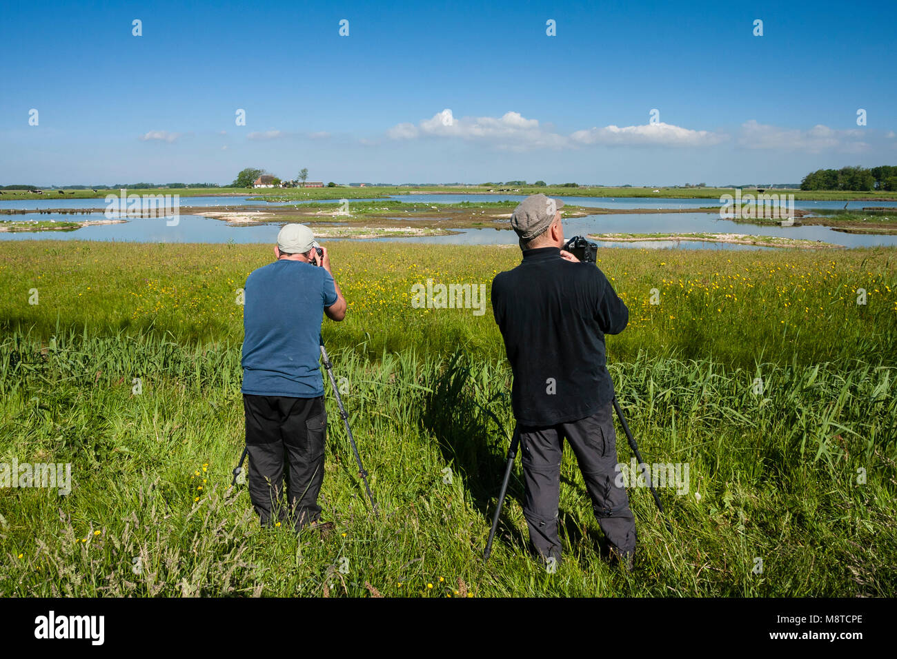 Vogelfotografen in actie bij waterplas met Vogels Vogel Fotografen in Aktion am See mit Vögeln Stockfoto