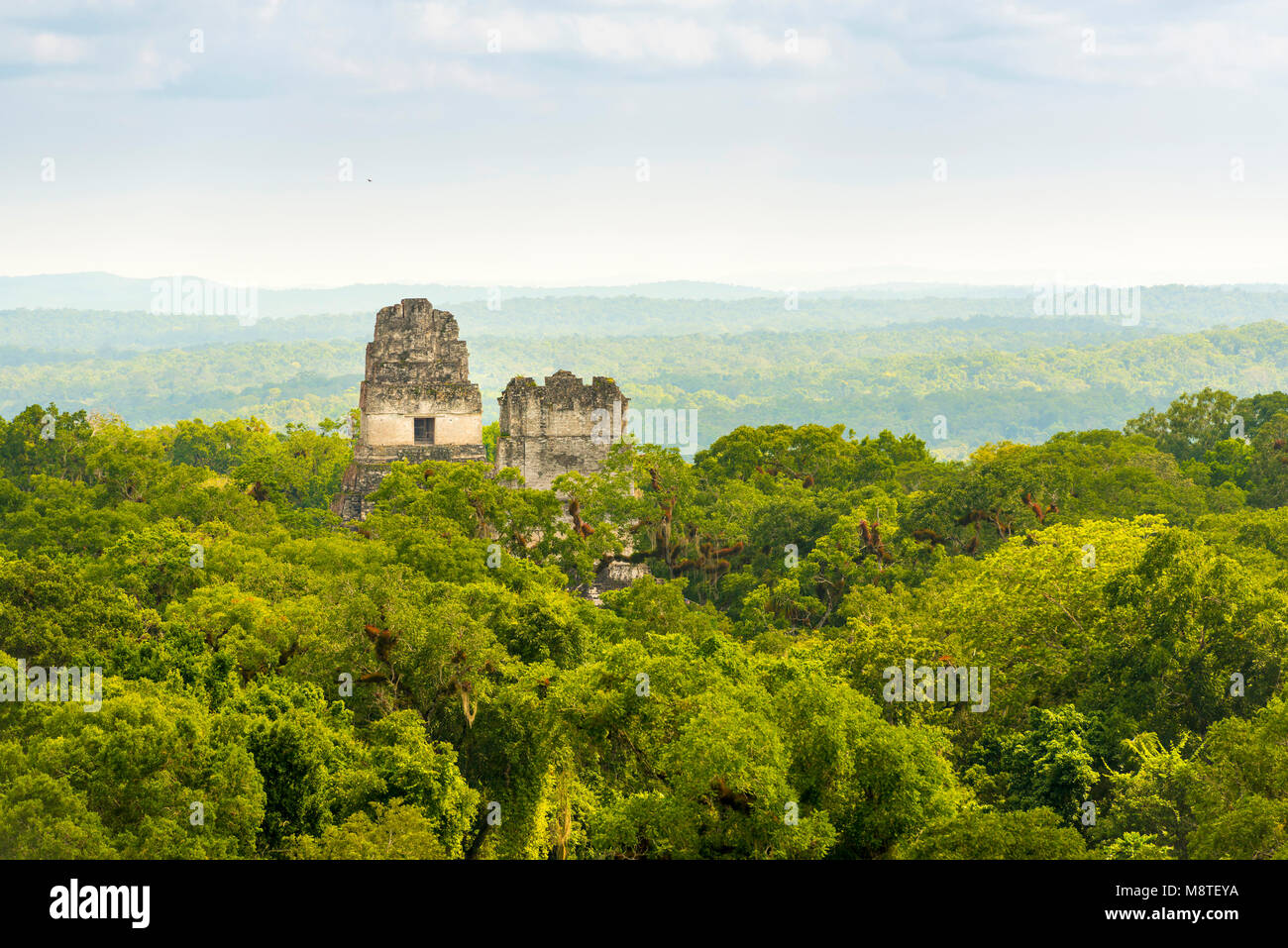 Tikal in Guatemala, einer alten Mayastadt in Ruinen von Dschungel umgeben Stockfoto