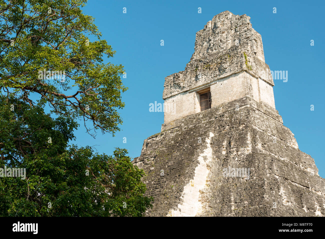 Tempel 1, auch als der Jaguar Tempel, der im Nationalpark Tikal, Guatemala in Mittelamerika bekannt Stockfoto
