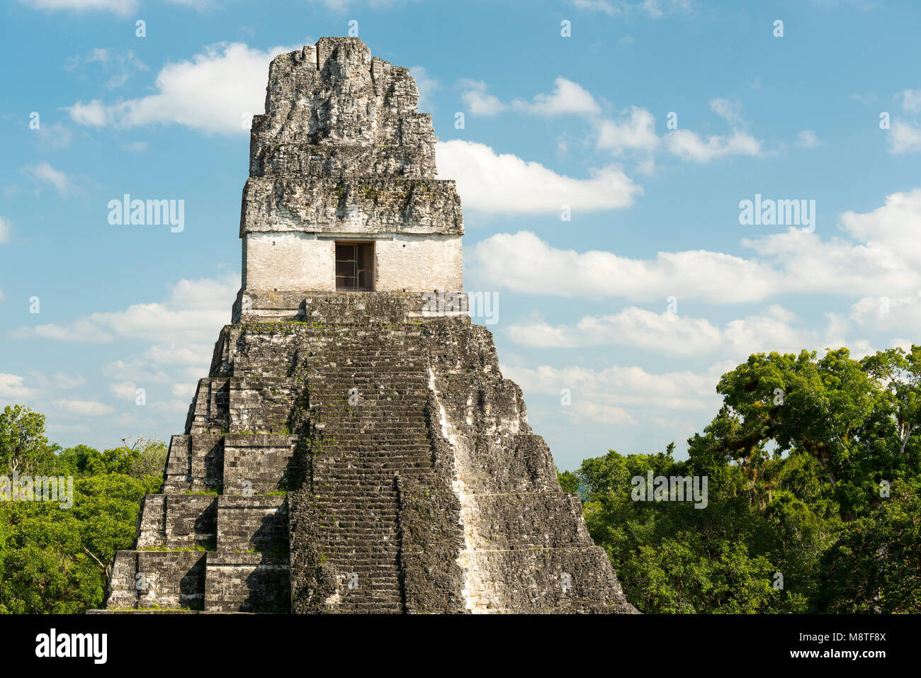 Tempel 1, auch als der Jaguar Tempel, der im Nationalpark Tikal, Guatemala in Mittelamerika bekannt Stockfoto