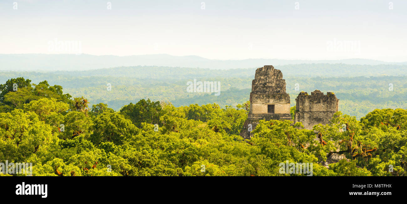 Ruinen von Tikal in Guatemala, mit dichten tropischen Dschungel Stockfoto