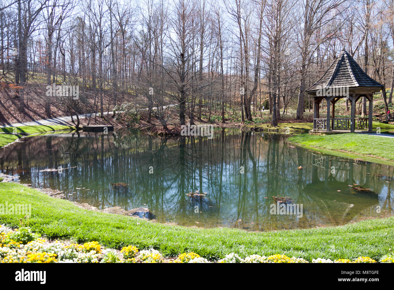 Teich umgeben von Blumen Stockfoto