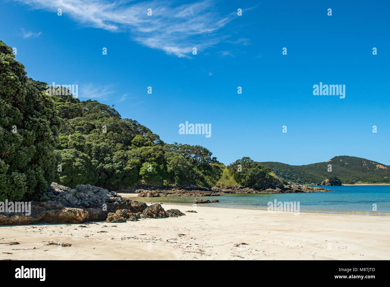 Waikato Bay Beach, Karikari Halbinsel, North Island, Neuseeland Stockfoto