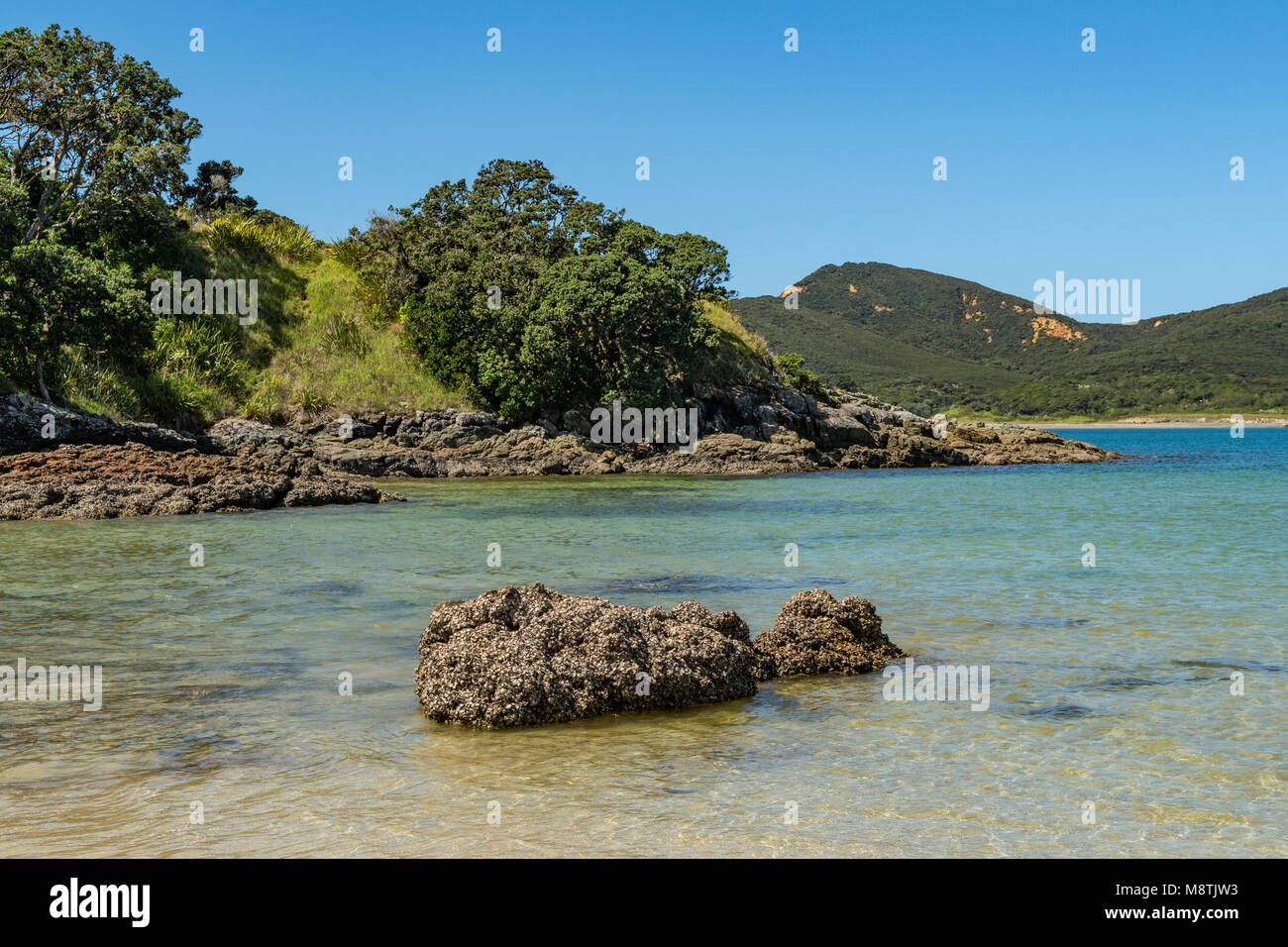 Waikato Bay, Karikari Halbinsel, North Island, Neuseeland Stockfoto