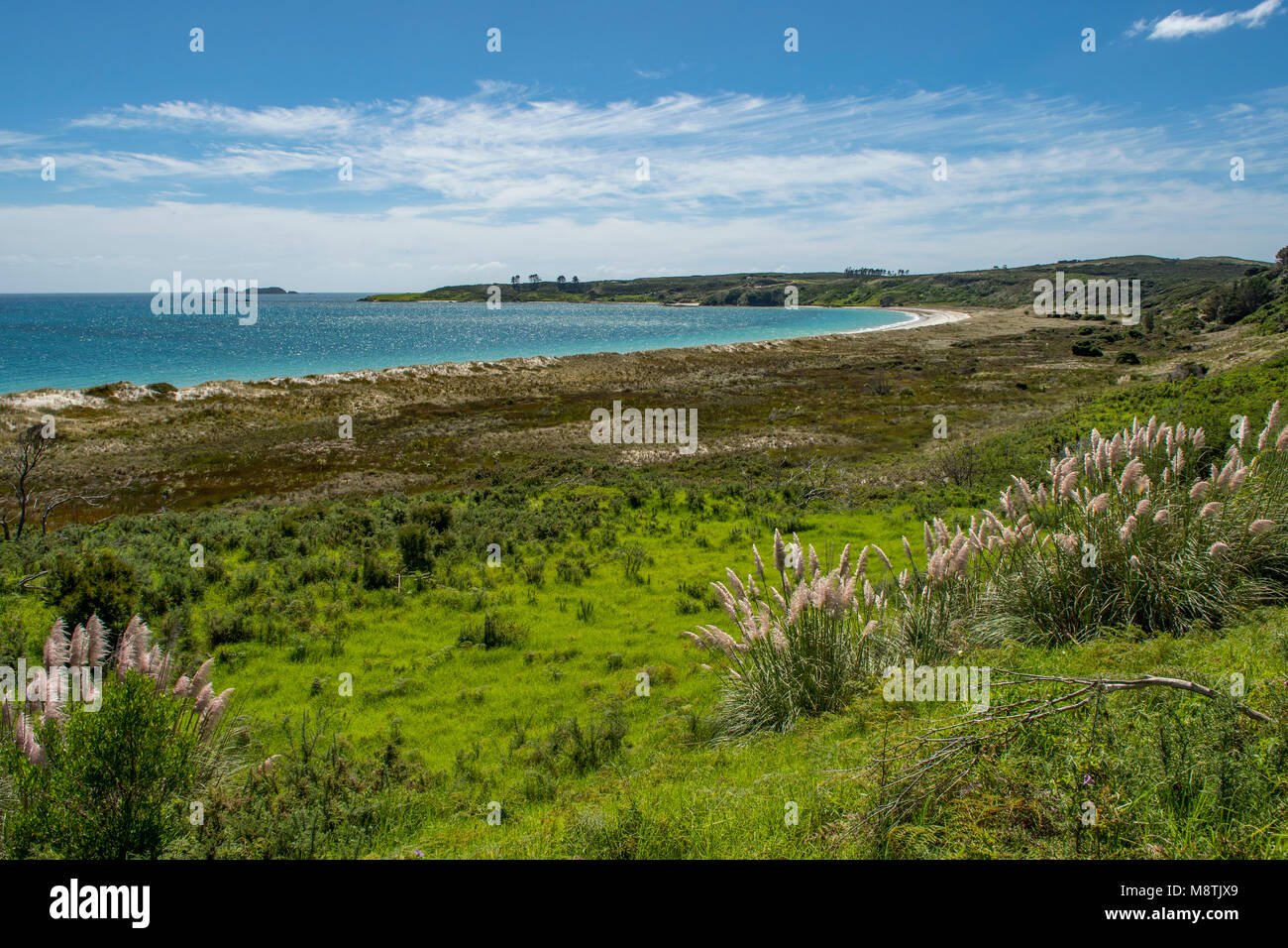 Karikari Moana, North Island, Neuseeland Stockfoto