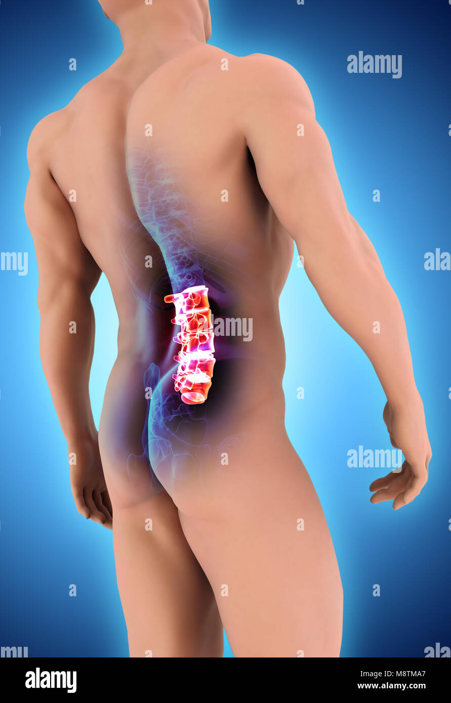 3D Abbildung des sakralen Wirbelsäule - Teil des menschlichen Skeletts. Stockfoto