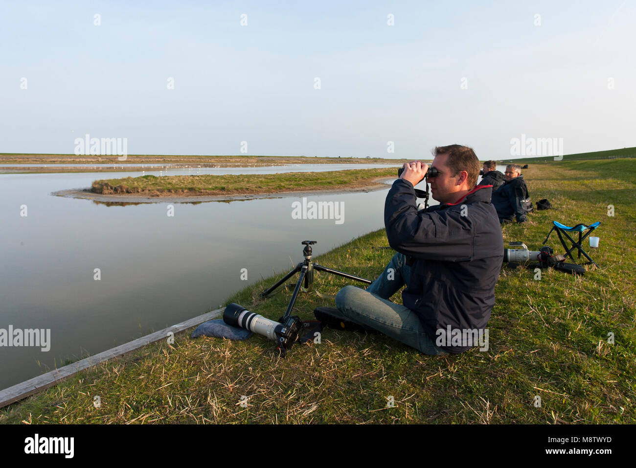 Vogelfotograaf bij het Wagenjot; Birdphotographer am Wagenjot, Texel (Niederlande) Stockfoto