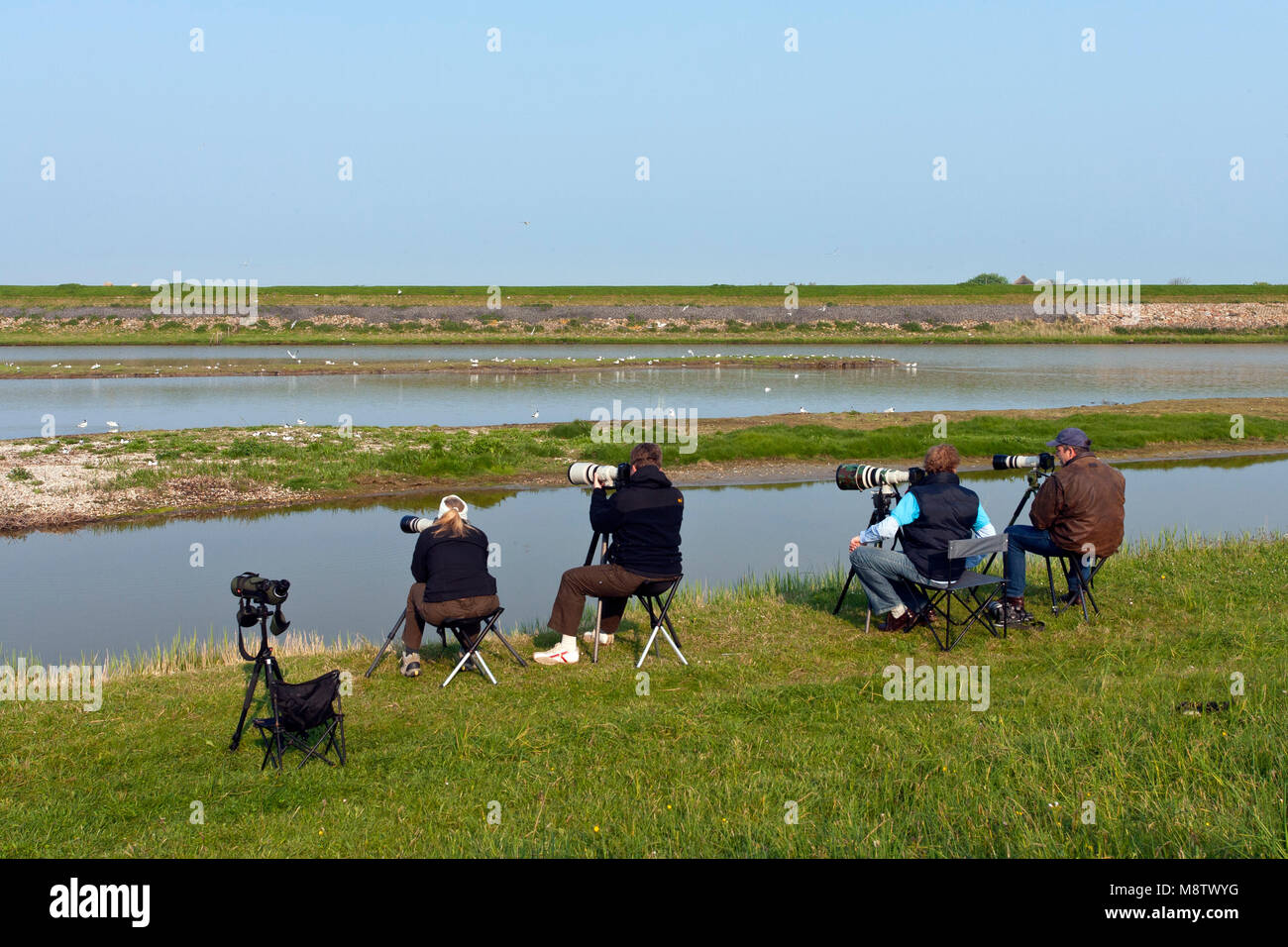 Vogelfotografen bij het Wagenjot ; vogel Fotografen an Wagenjot, Texel (Niederlande) Stockfoto