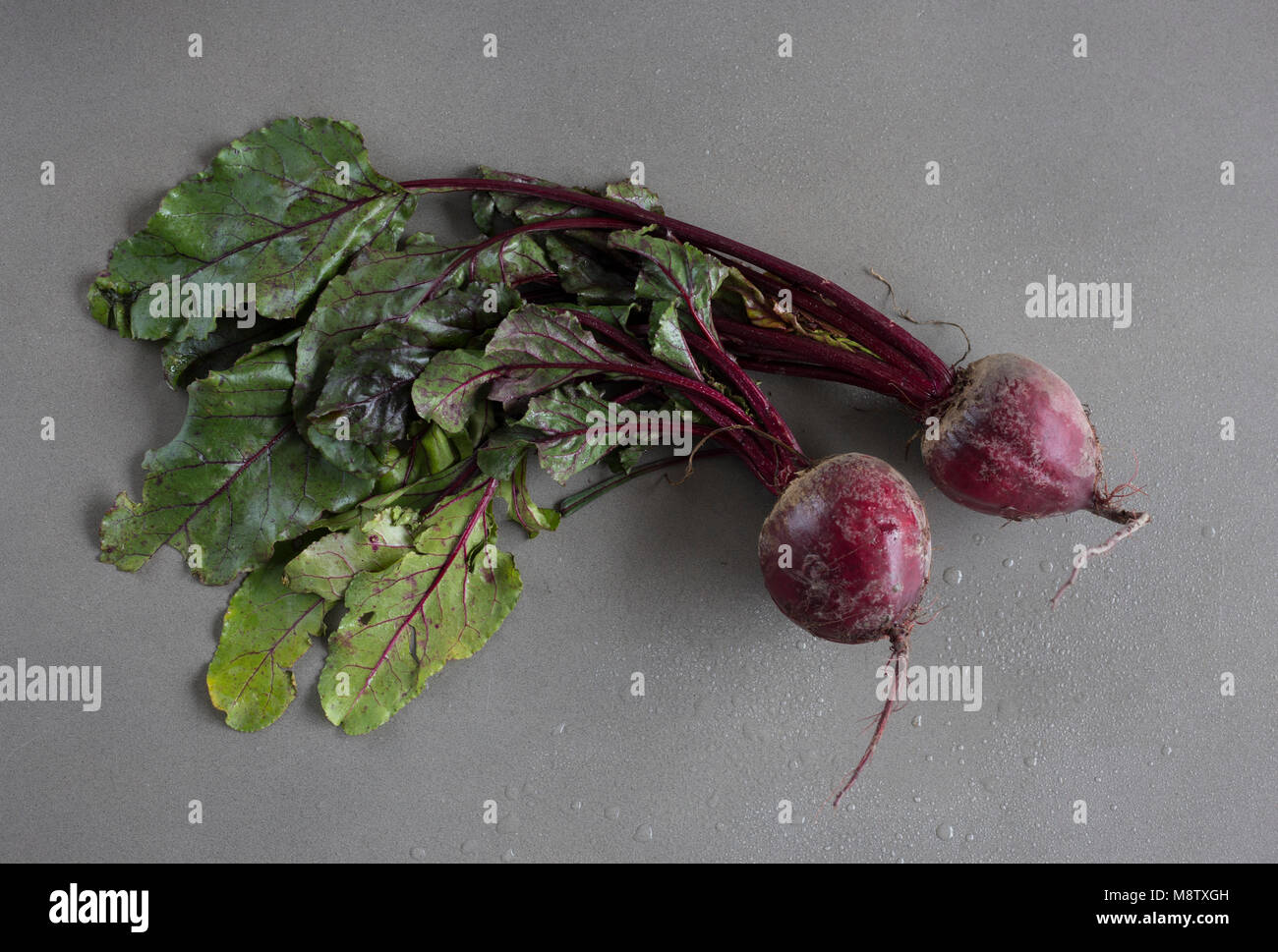 Mit Blättern auf grauem Hintergrund von oben Rote Bete Stockfoto