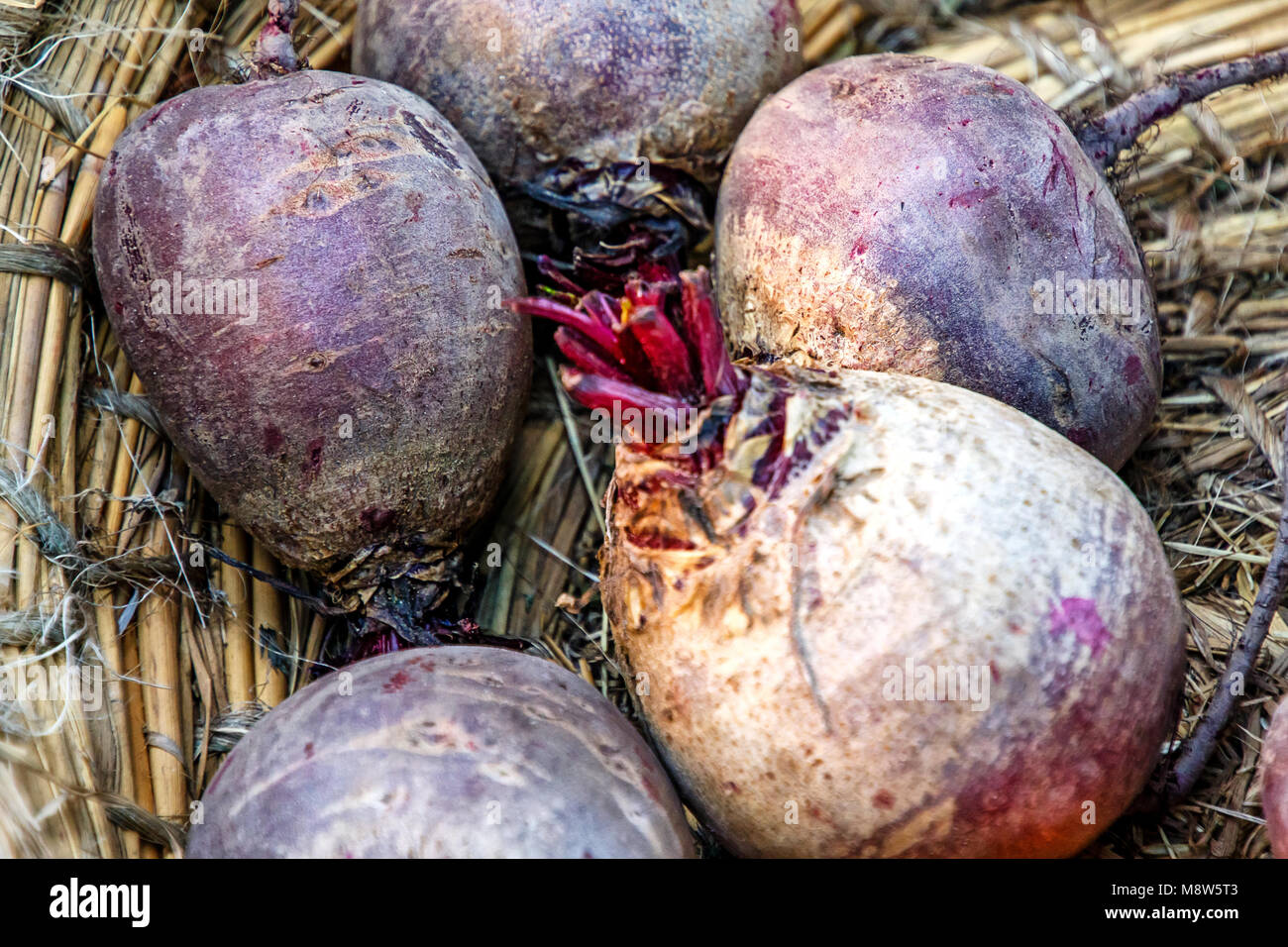 Rote Bete in Weidenkorb Stockfoto