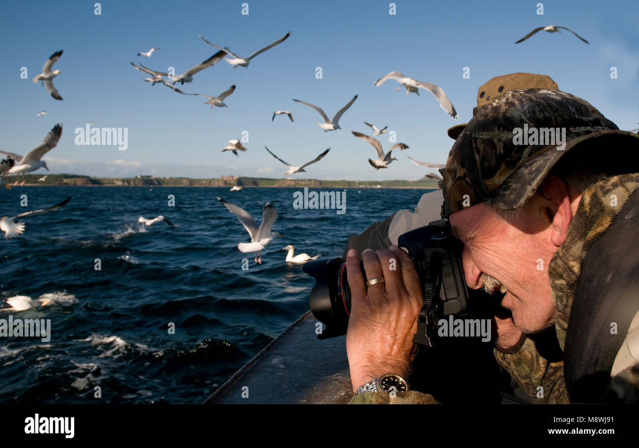 Vogelaars, Vogelbeobachter Stockfoto