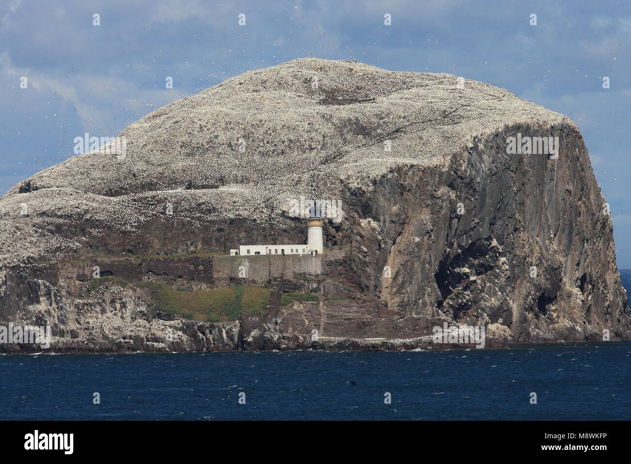 Zicht op Bass Rock; Blick auf Bass Rock Stockfoto