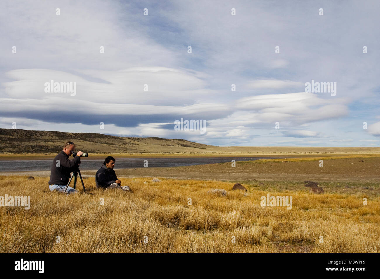 Vogelbeobachtung, Patagonien, Argentinien Stockfoto