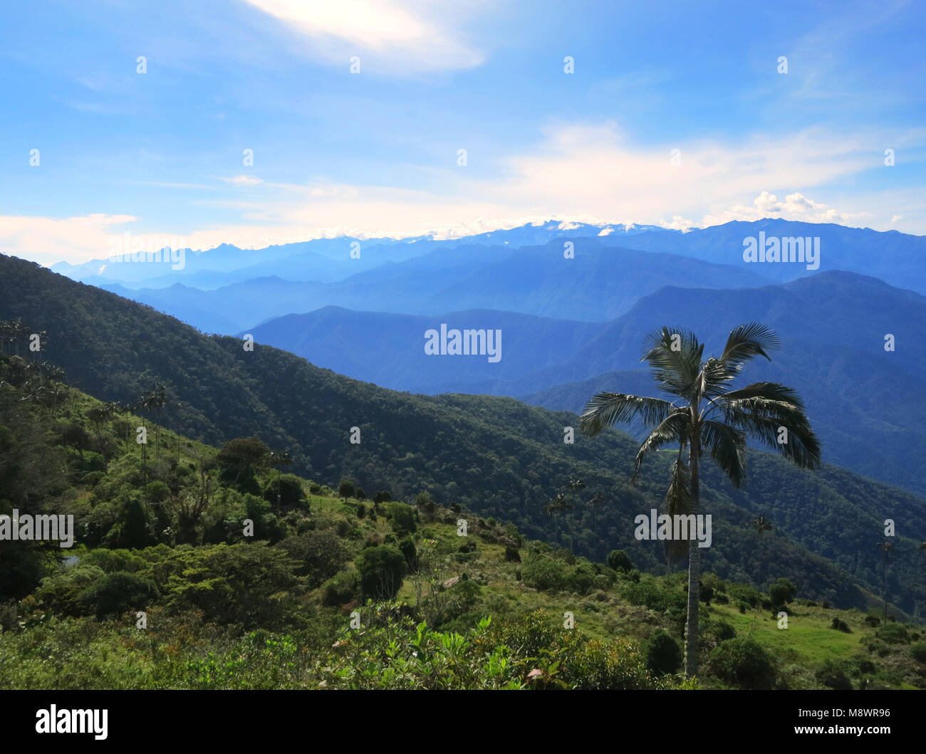 Uitzicht op Sierra Nevada Mountains, Santa Marta, Kolumbien; Blick auf die Sierra Nevada, Santa Marta, Kolumbien Stockfoto