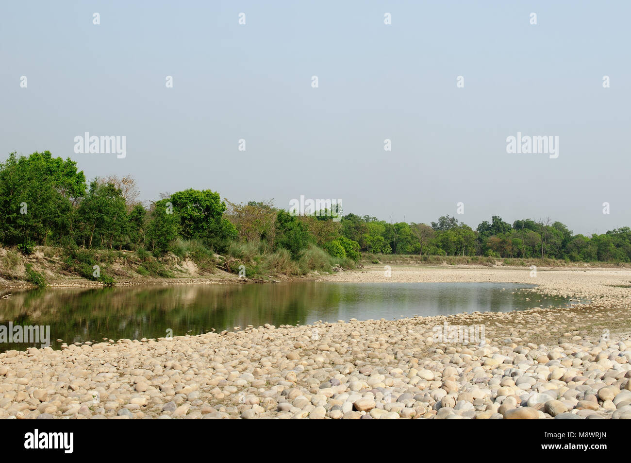 Bei der Suche nach dem Tiger in der Bardia National Park in Nepal Stockfoto