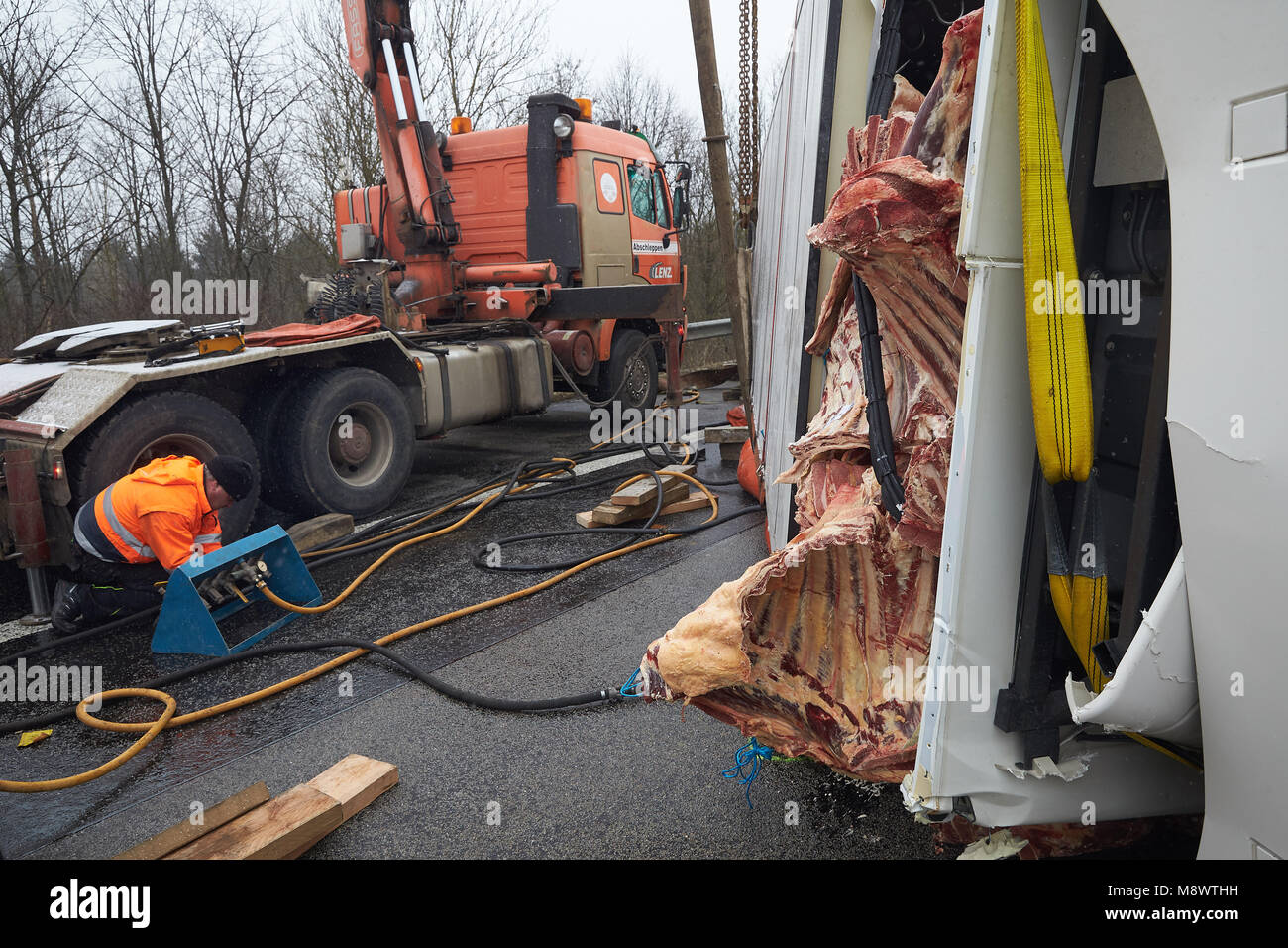 Boppard, Deutschland. 20. März, Recovery Arbeitnehmer versuchen, rechts ein Moloch mit Rindfleisch, die auf der Autobahn 61 (A61) Autobahn in der Nähe von Boppard umgeworfen. Die Autobahn musste mehrere Stunden gesperrt werden. Foto: Thomas Frey/dpa Quelle: dpa Picture alliance/Alamy leben Nachrichten Stockfoto