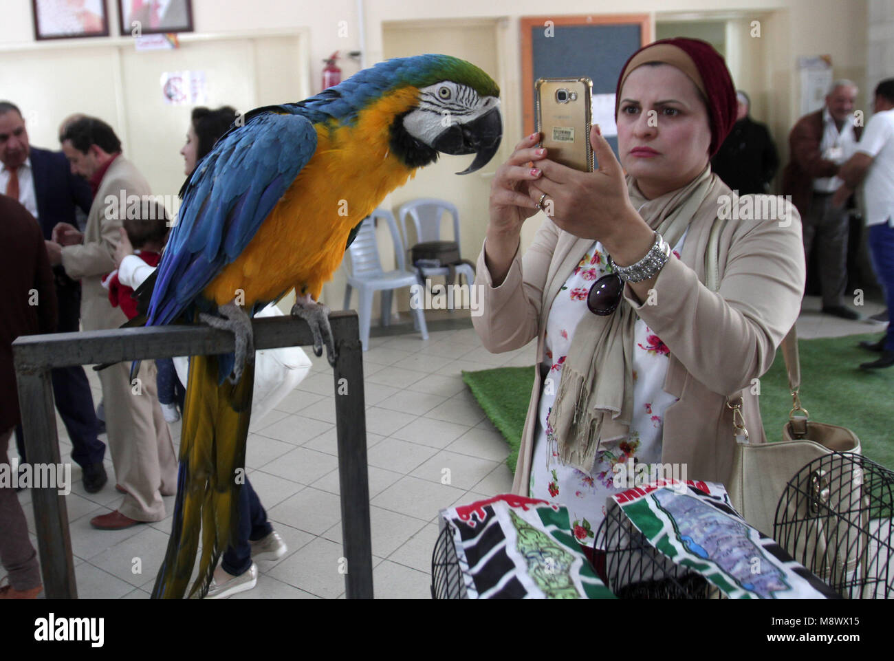 Nablus. 20 Mär, 2018. Eine palästinensische Besucher nimmt Fotos von einem Papagei bei einer lokalen Ausstellung in der West Bank Stadt Nablus, am 20. März 2018. Credit: nidal Eshtayeh/Xinhua/Alamy leben Nachrichten Stockfoto