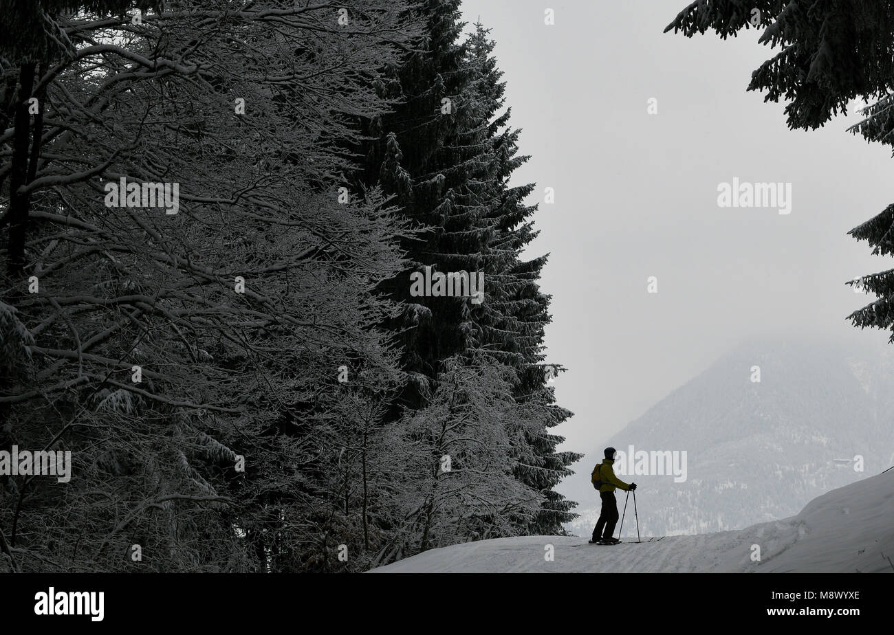 20 März 2018, Deutschland, Garmisch-Partenkirchen: Skifahrer, die in den verschneiten Wald im Skigebiet am Anfang des Frühlings. Foto: Angelika Warmuth/dpa Stockfoto