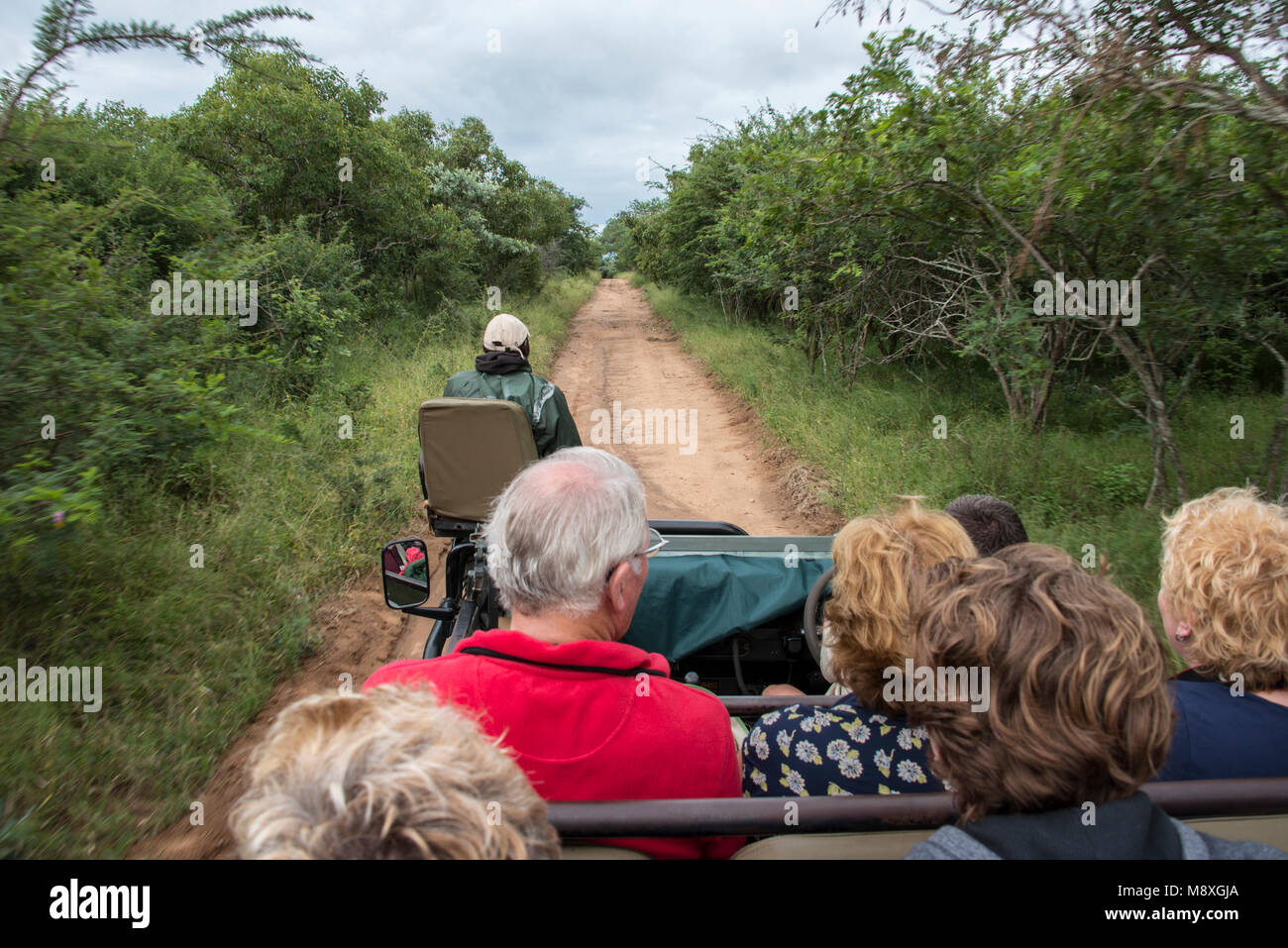 Menschen in Safari in den Krüger National Park, auf der Suche nach den Big 5 wilde Tiere, Führer von einem Ranger Stockfoto
