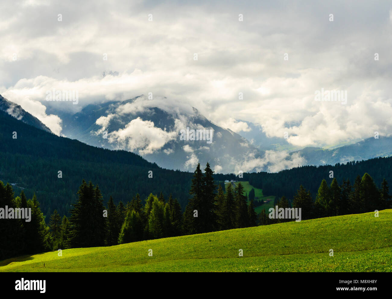 Wolken Gipfel über alpine Wiesen oberhalb Lenzerheide Graubünden Schweiz ausblenden Stockfoto