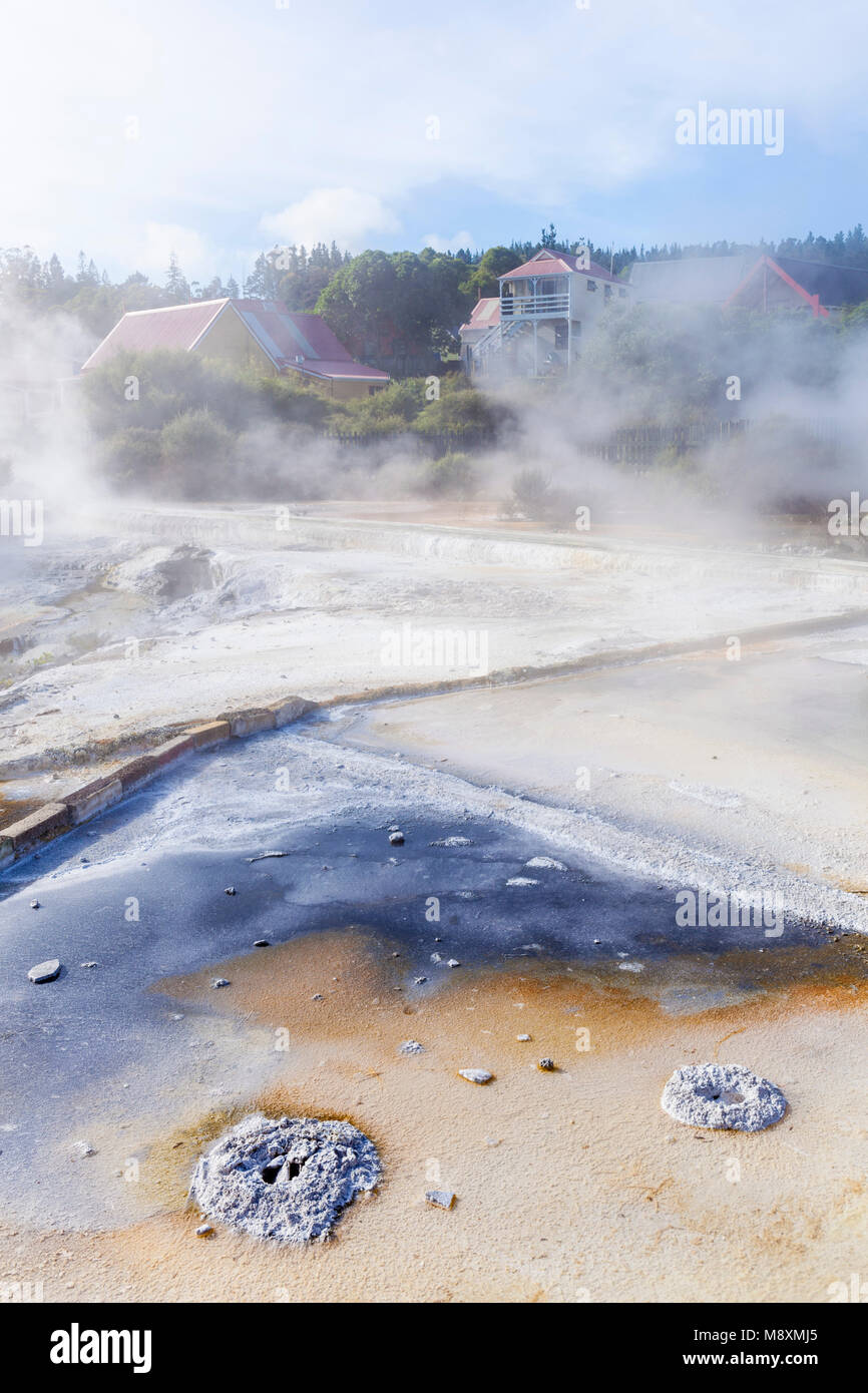 Neuseeland rotorua Neuseeland whakarewarewa rotorua Terrassen mit mineralablagerung run off aus dem parekohuru pool North Island Neuseeland Ozeanien Stockfoto