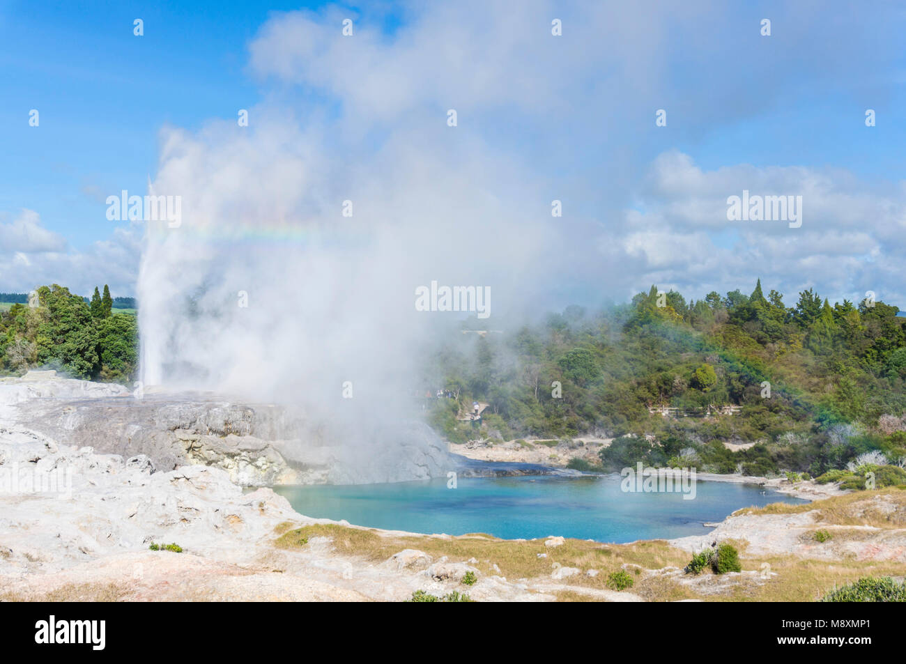 Neuseeland rotorua Neuseeland whakarewarewa rotorua Pohutu Geysir und Prinz von Wales Blue Lake Neuseeland Nordinsel Neuseeland Ozeanien Geysir Stockfoto