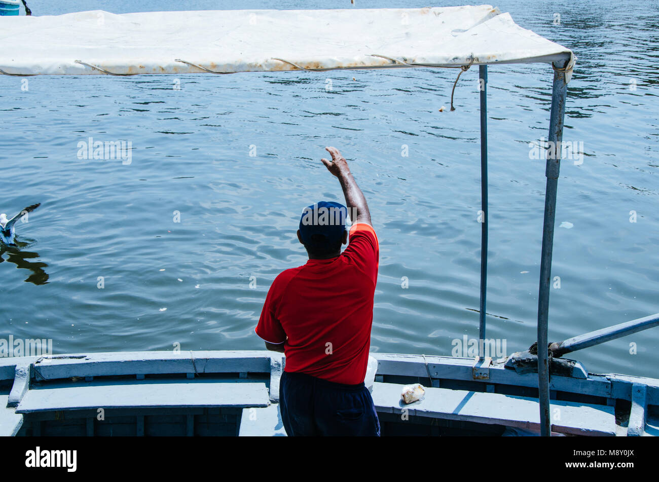 Boatman werfen einige Nahrungsmittel an die Möwen Stockfoto