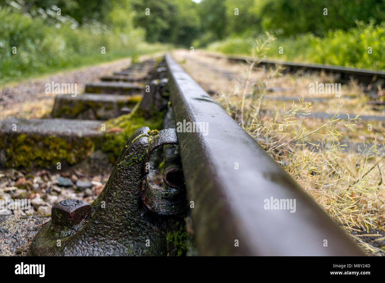 Alte bewachsene stillgelegten Bahnstrecken. Stockfoto