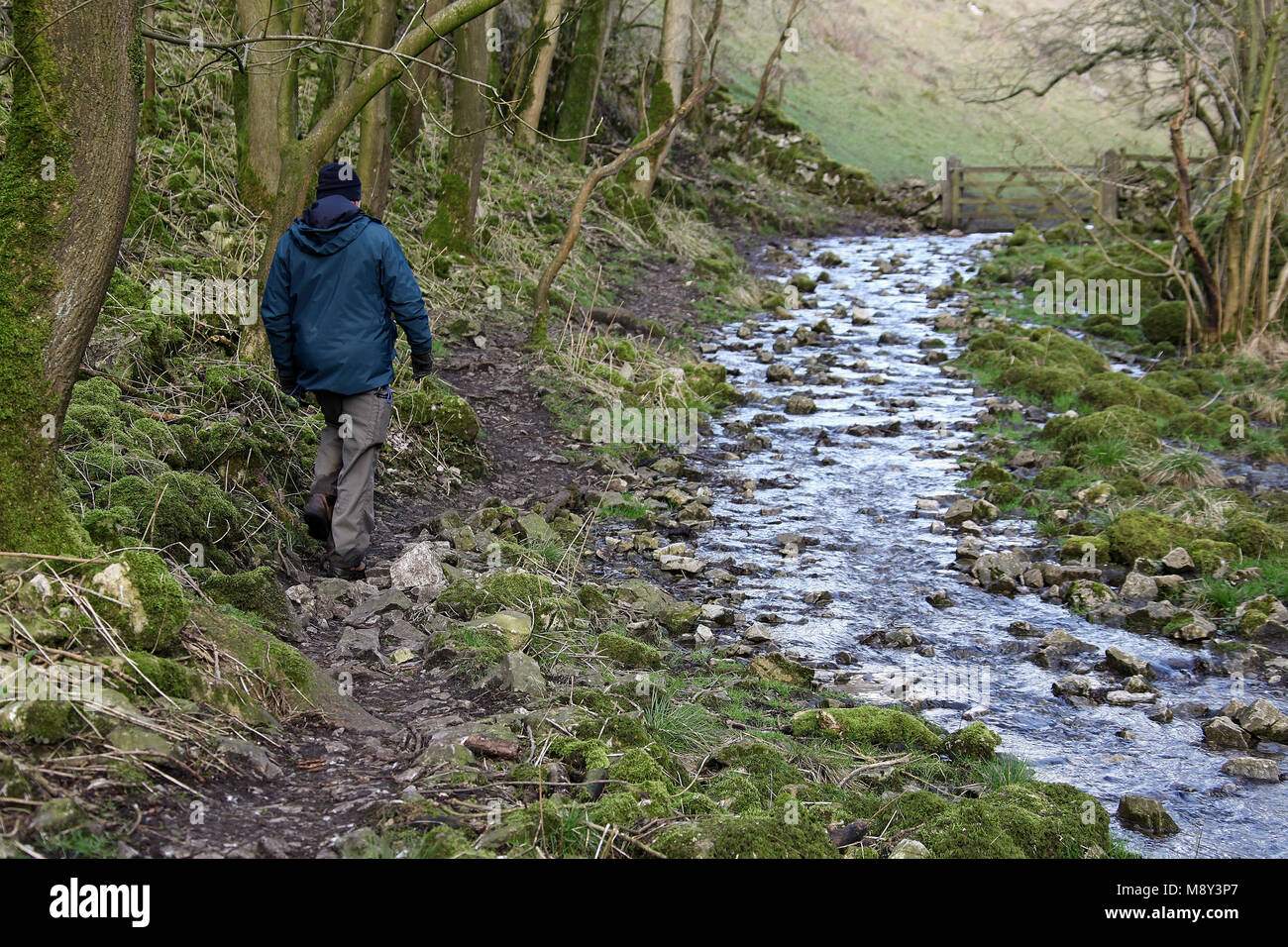 Walker in Biggin Dale in der nähe von Hartington im Peak District National Park Stockfoto