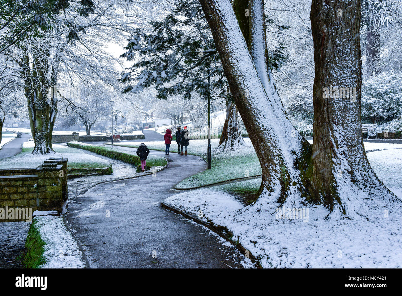 Schnee fällt auf Trenance Gärten in Newquay Cornwall. Stockfoto